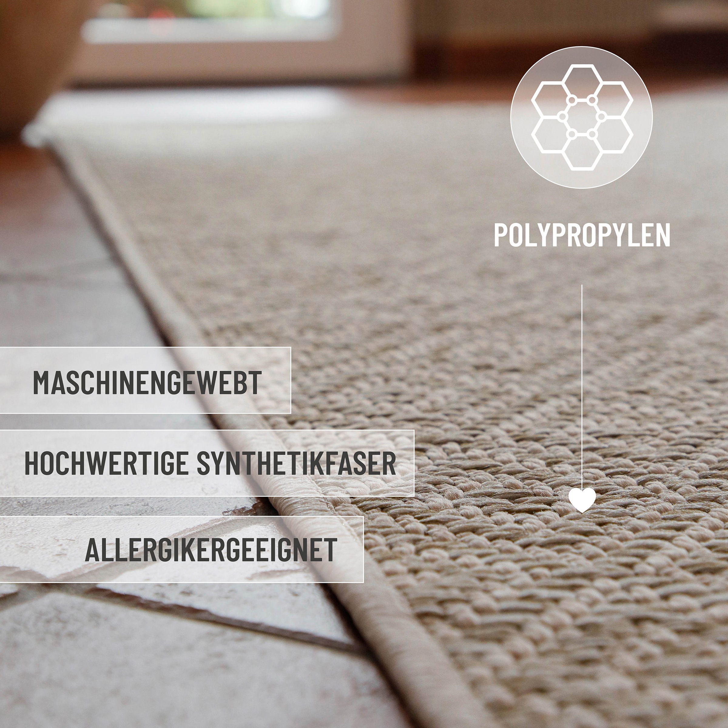 Wecon home Teppich »Buhai« rechteckig 3 mm Höhe ultraflacher Schmutzfangläu günstig online kaufen