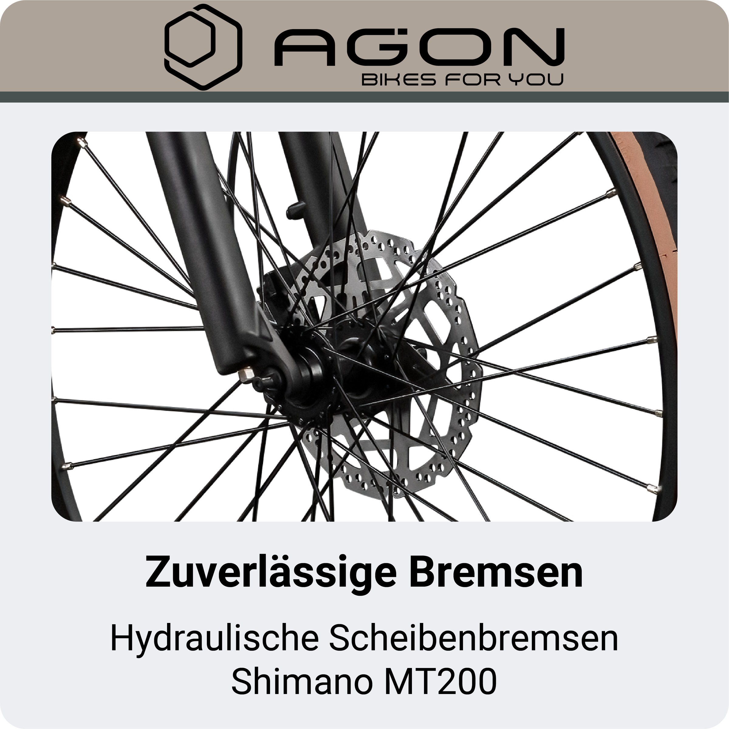 AGON »Alpha« 10 Gang Shimano Deore SGS T6000 Schaltwerk Kettenschaltung Heckmotor 250 W Pedelec, Elektrofahrrad für Damen u. Herren, MTB