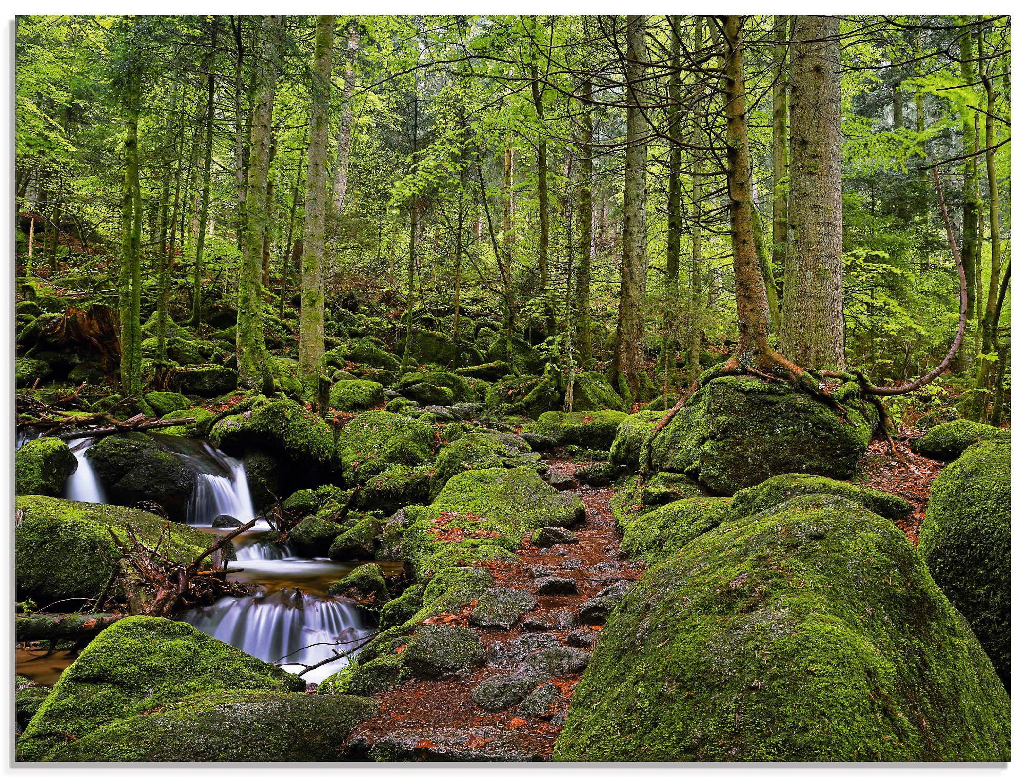 Artland Glasbild »Zauberwald mit Bach«, Wald, (1 St.), in verschiedenen Grö günstig online kaufen