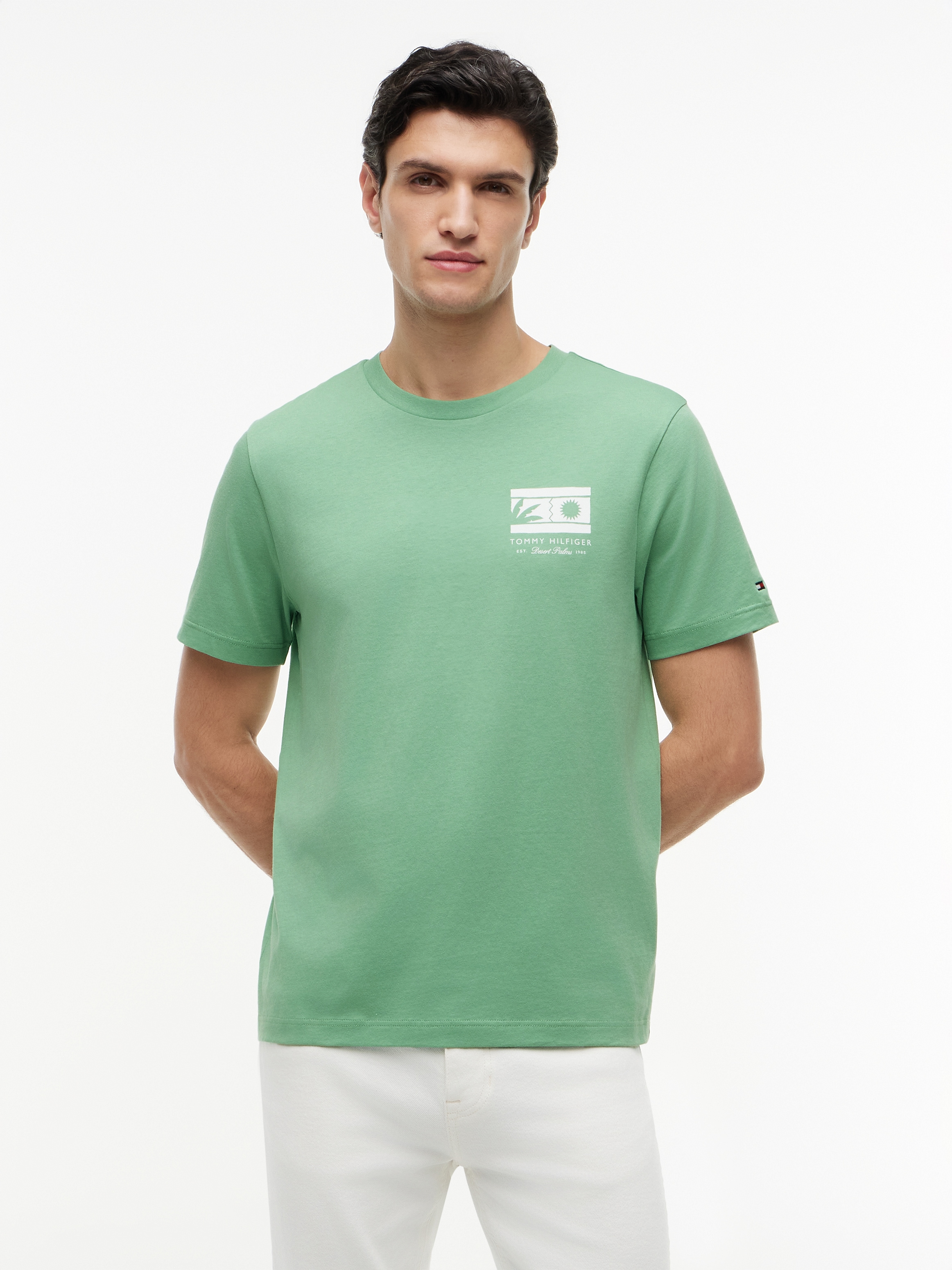 Tommy Hilfiger T-Shirt »MONO SUN GRAPHIC REGULAR TEE« aus Jersey mit Logo-Grafik