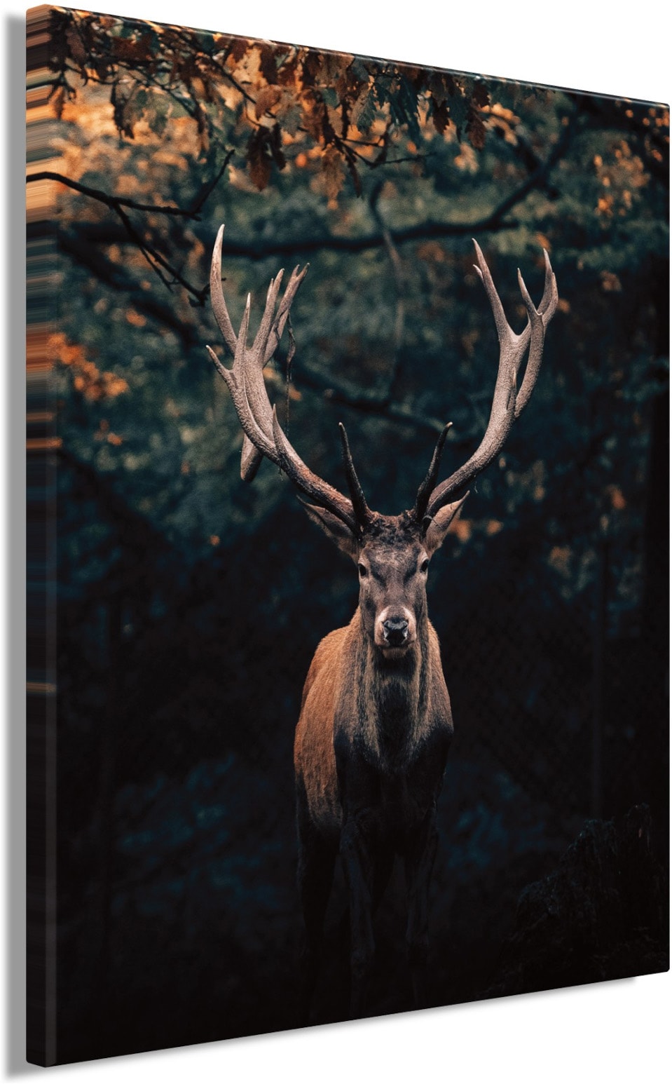 Bönninghoff Leinwandbild »Wandbild HIRSCH IM WALD XXL 118x140 cm – Leinwandbild Keilrahmen Deko« Hirsch | Hirschbilder | Hirsche | Natur | Rehe | Tiere | Wald | Wildtiere 1 Stk. tlg. auf Keilrahmen gespannt