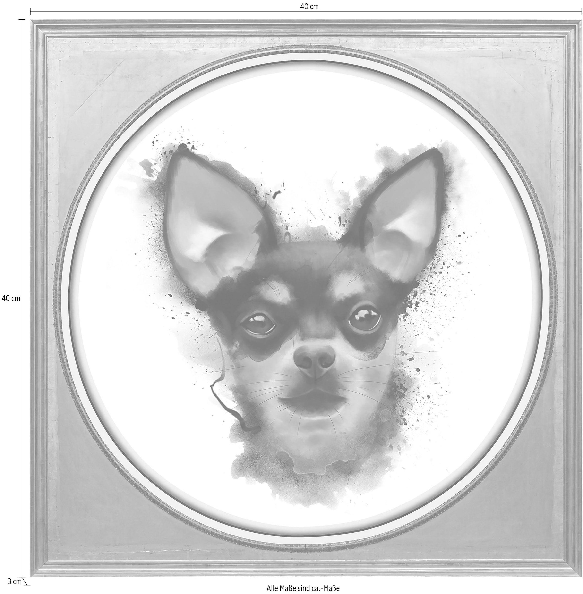 queence Acrylglasbild »Chihuahua«, Kunst-Gemälde-Tiere-Hund-Hunde-Hundebilder-Haustiere, Fine Art-Print in Galeriequalität