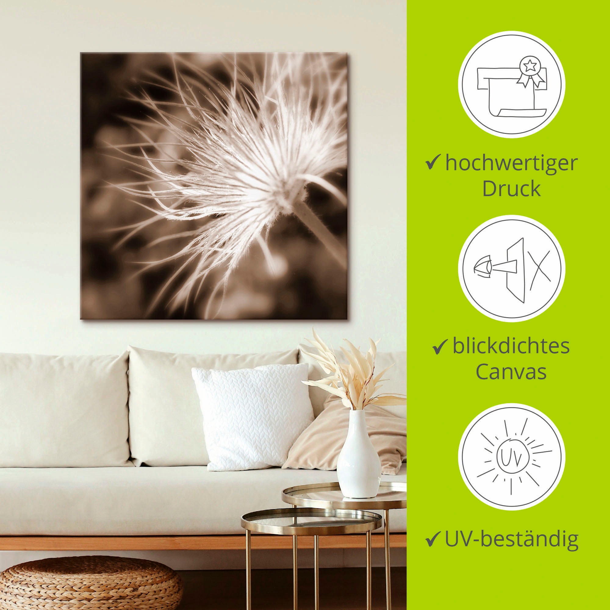Artland Wandbild »leicht wie eine Feder«, Blumen, (1 St.), als Leinwandbild, Poster in verschied. Größen