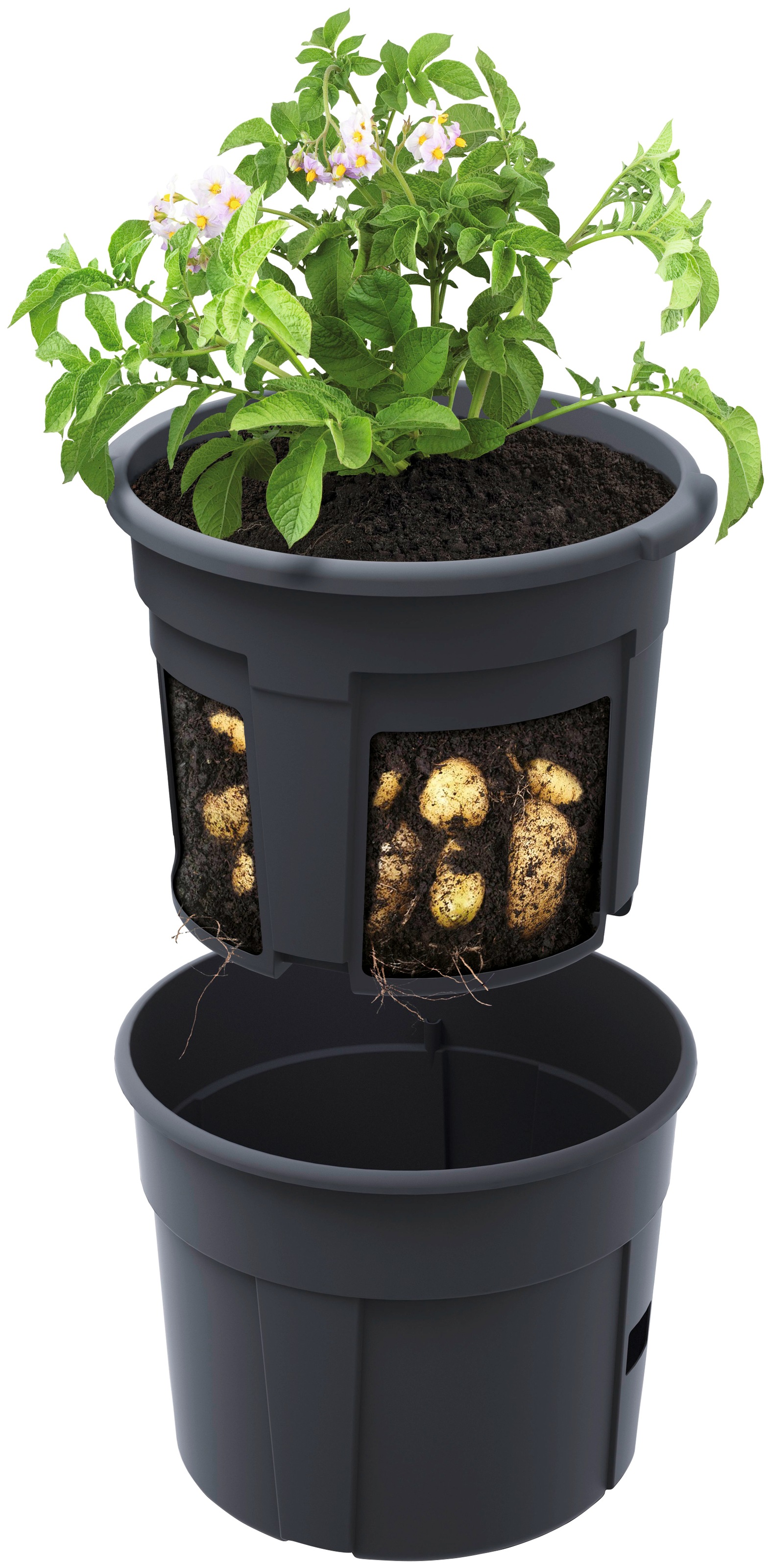 Prosperplast Anzuchttopf »Potato Grower«, ØxH: 29,5x23,6 cm, 2-teilig