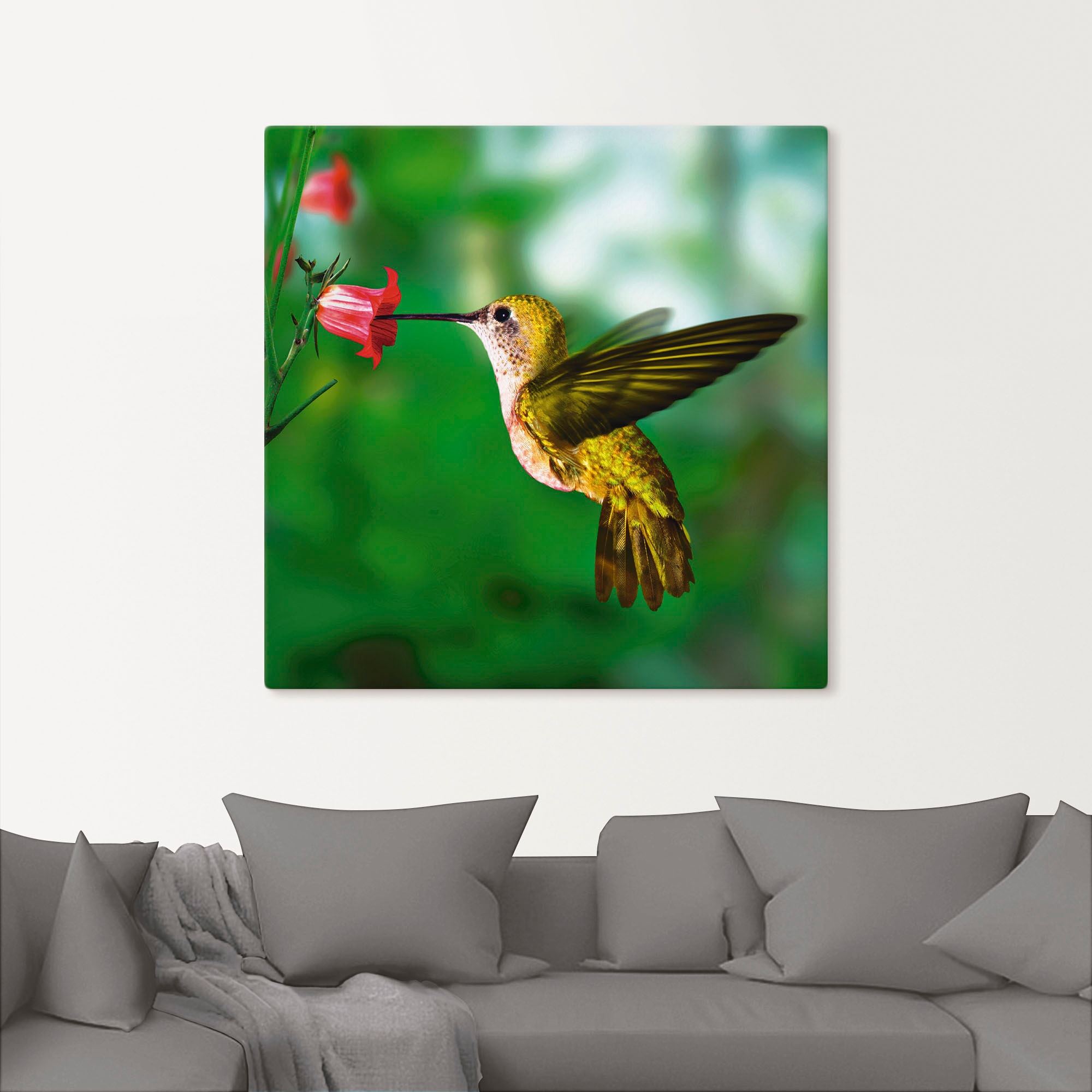 Artland Wandbild »Kolibri«, Vögel, (1 St.), als Alubild, Outdoorbild, Leinwandbild, Poster in verschied. Größen
