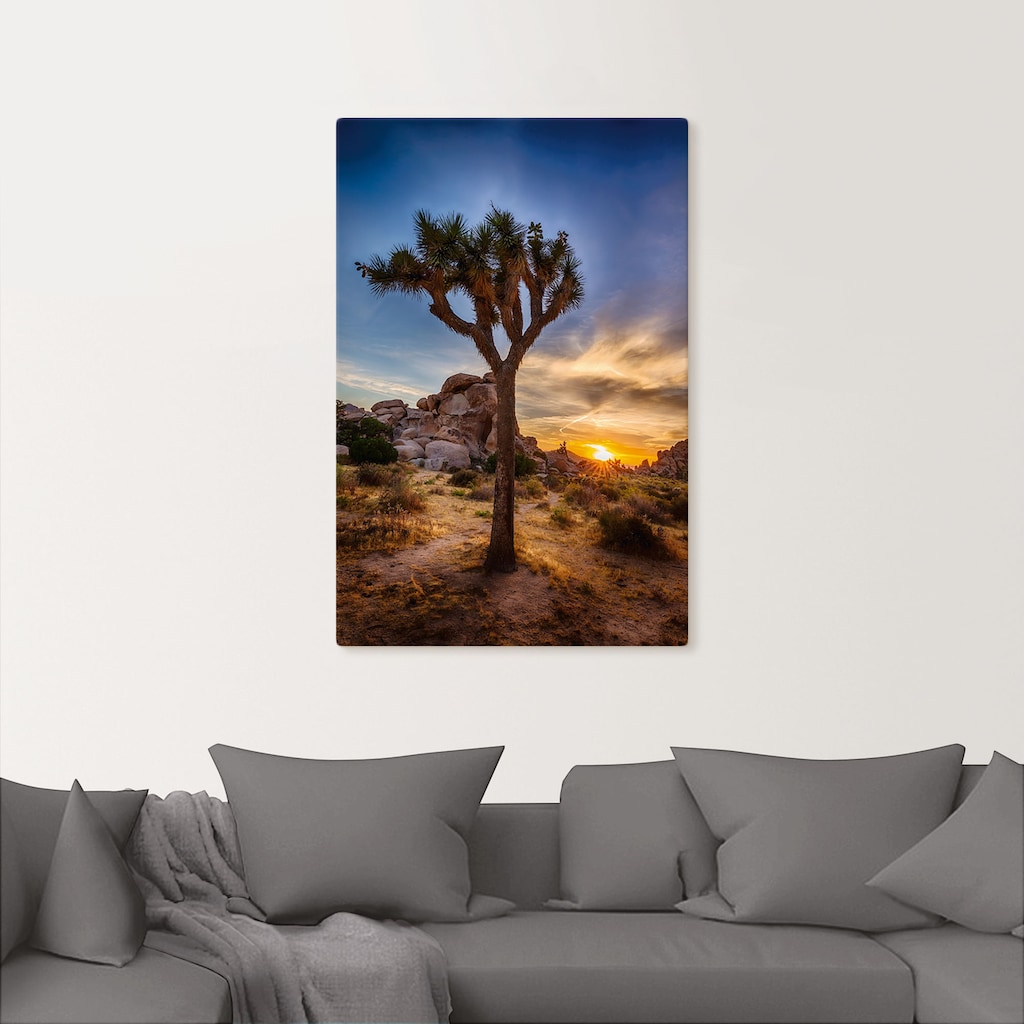 Artland Wandbild »Sonnenuntergang Joshua Tree NationalPark« (1 Stück), in vielen Größen & Produktarten - Alubild / Outdoorbild für den Außenbereich, Leinwandbild, Poster, Wandaufkleber / Wandtattoo auch für Badezimmer geeignet