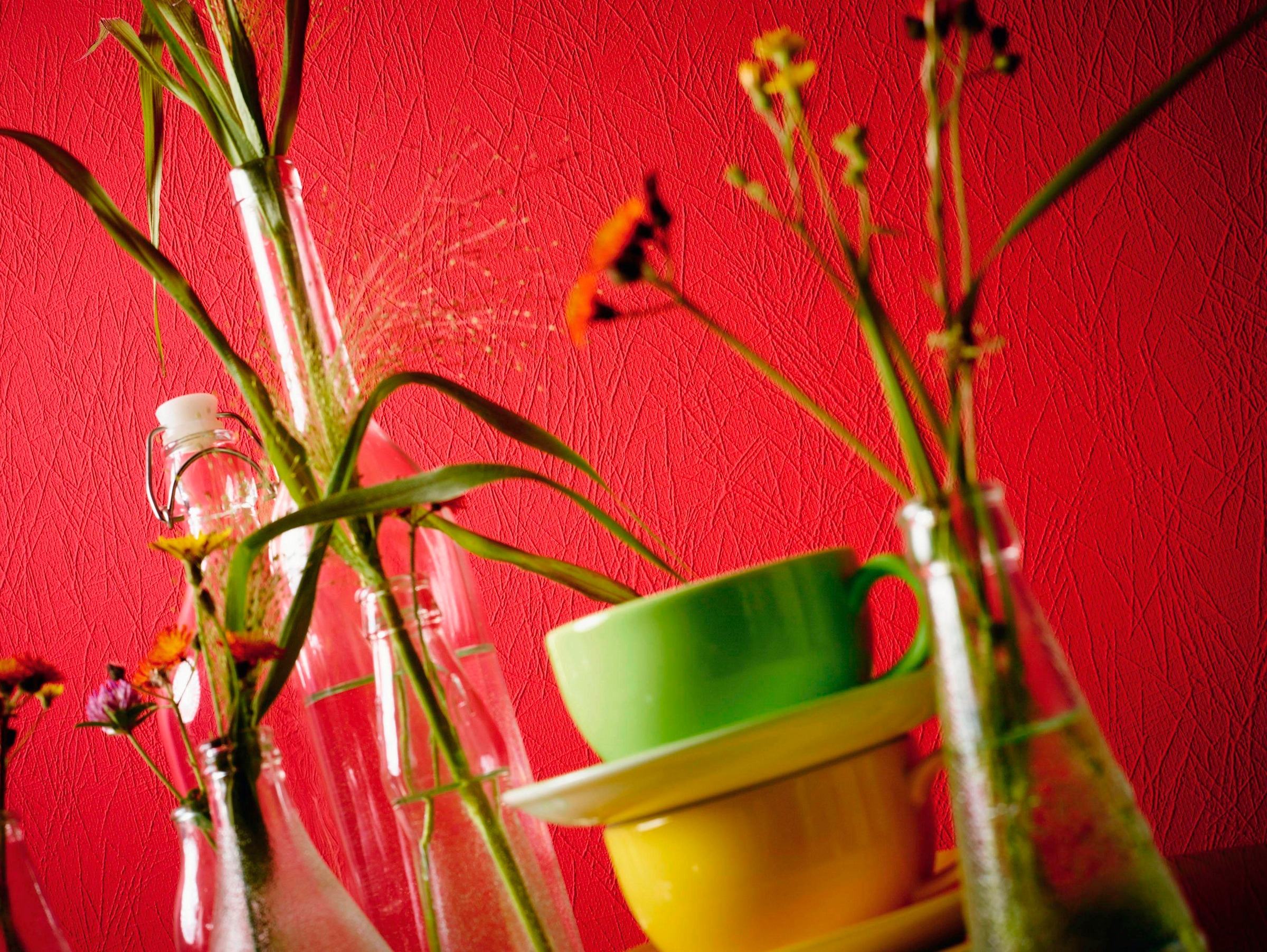 living walls Vliestapete »Meisterputz« einfarbig | uni | unifarben leicht strukturiert Struktur Tapete Grafik Tapeten Wohnzimmer Schlafzimmer Küche Flur Büro