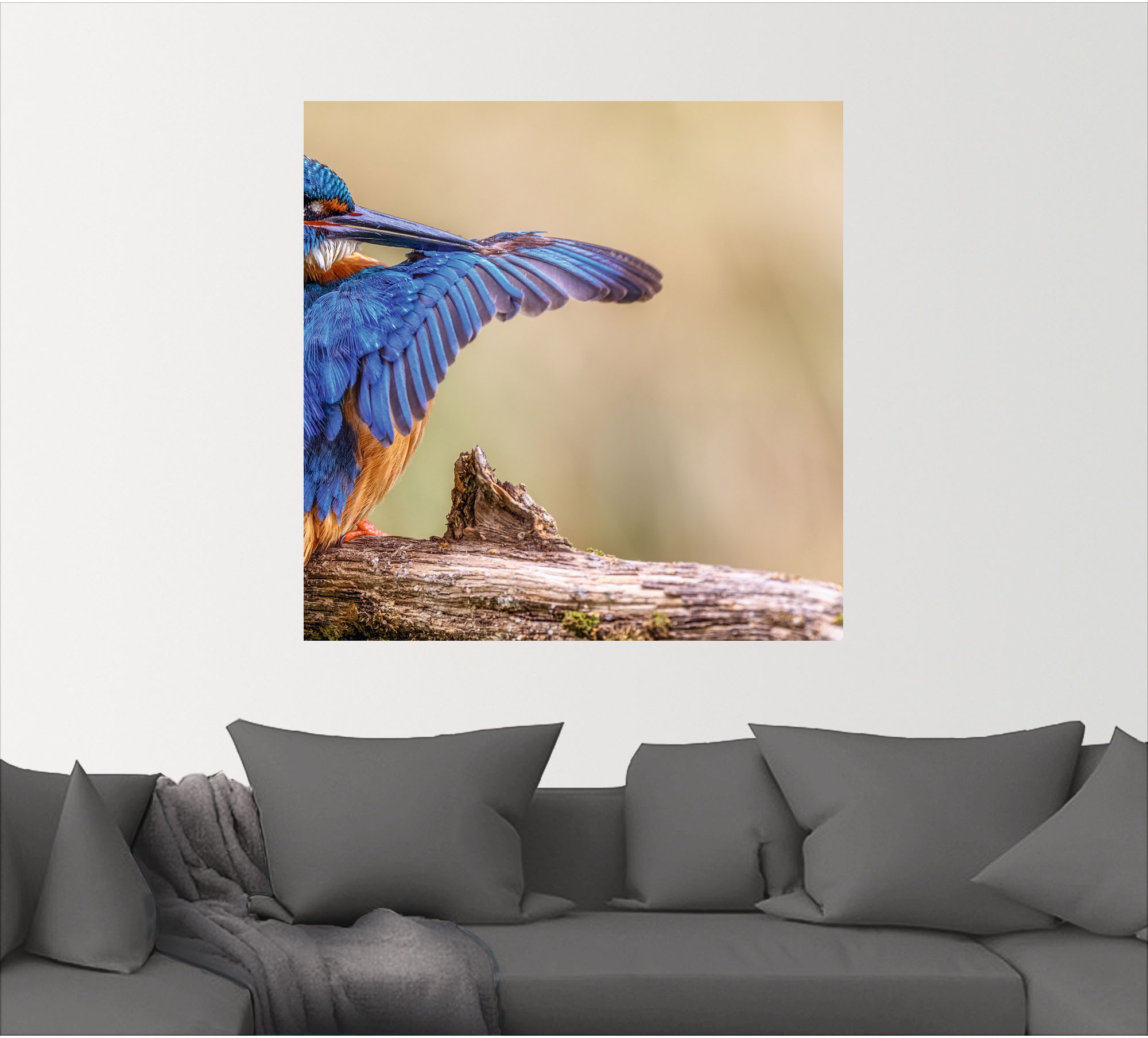 Artland Alu-Dibond-Druck »Eisvogel II«, Vogelbilder, (1 St.), selbstklebend günstig online kaufen