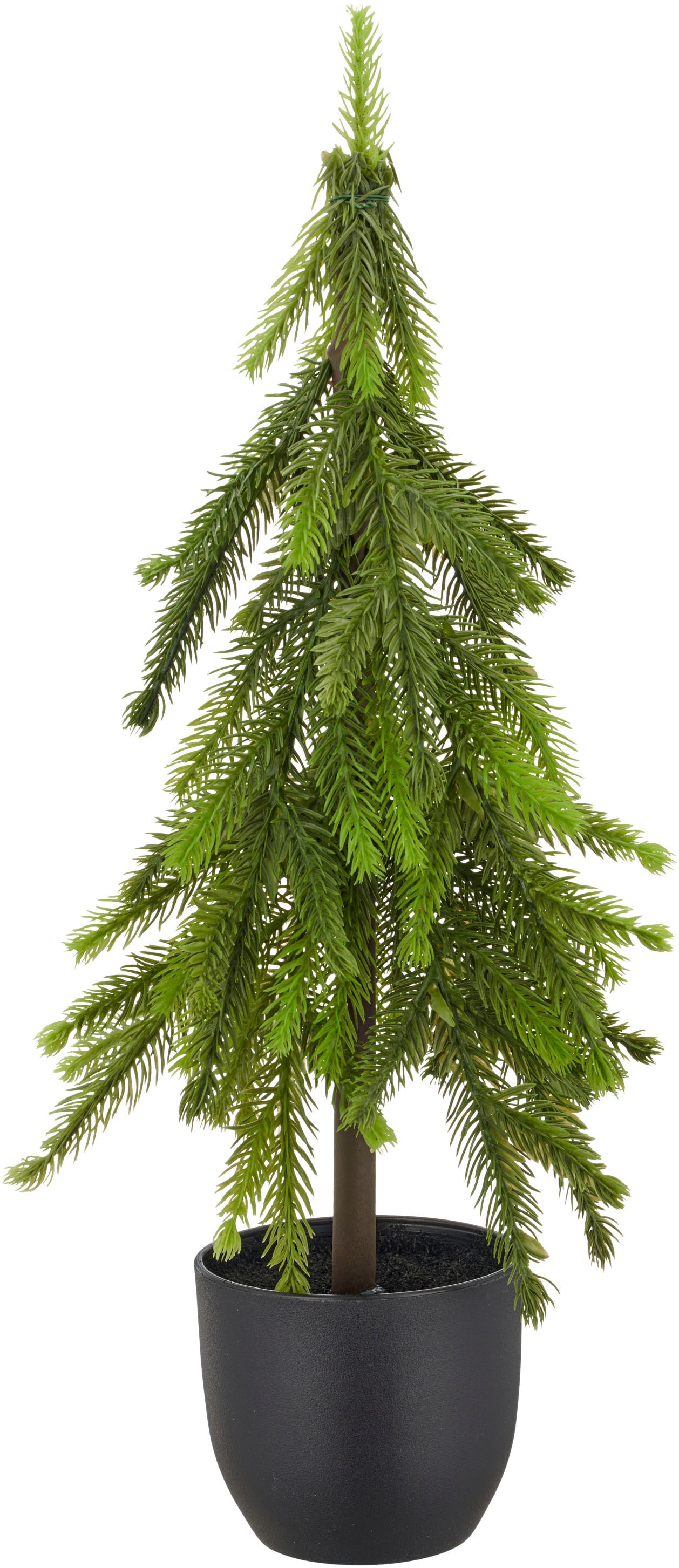 Creativ green Winterliche Kunstpflanze »Tannenbäumchen« im Set aus 2 Größen