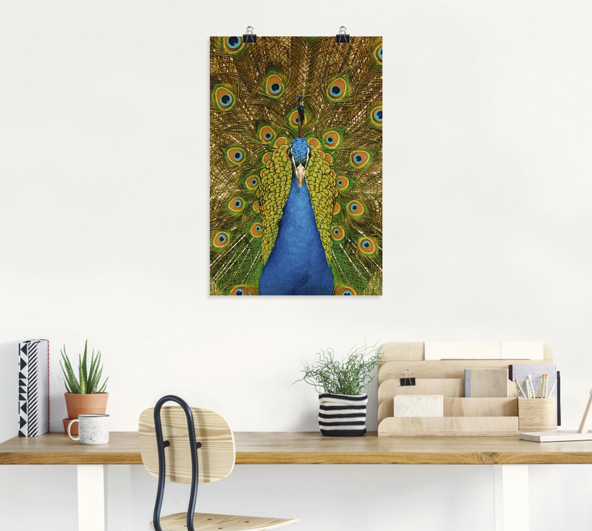Artland Poster »Stolzer Pfau«, Vögel, (1 St.), als Alubild, Leinwandbild, Wandaufkleber oder Poster in versch. Größen
