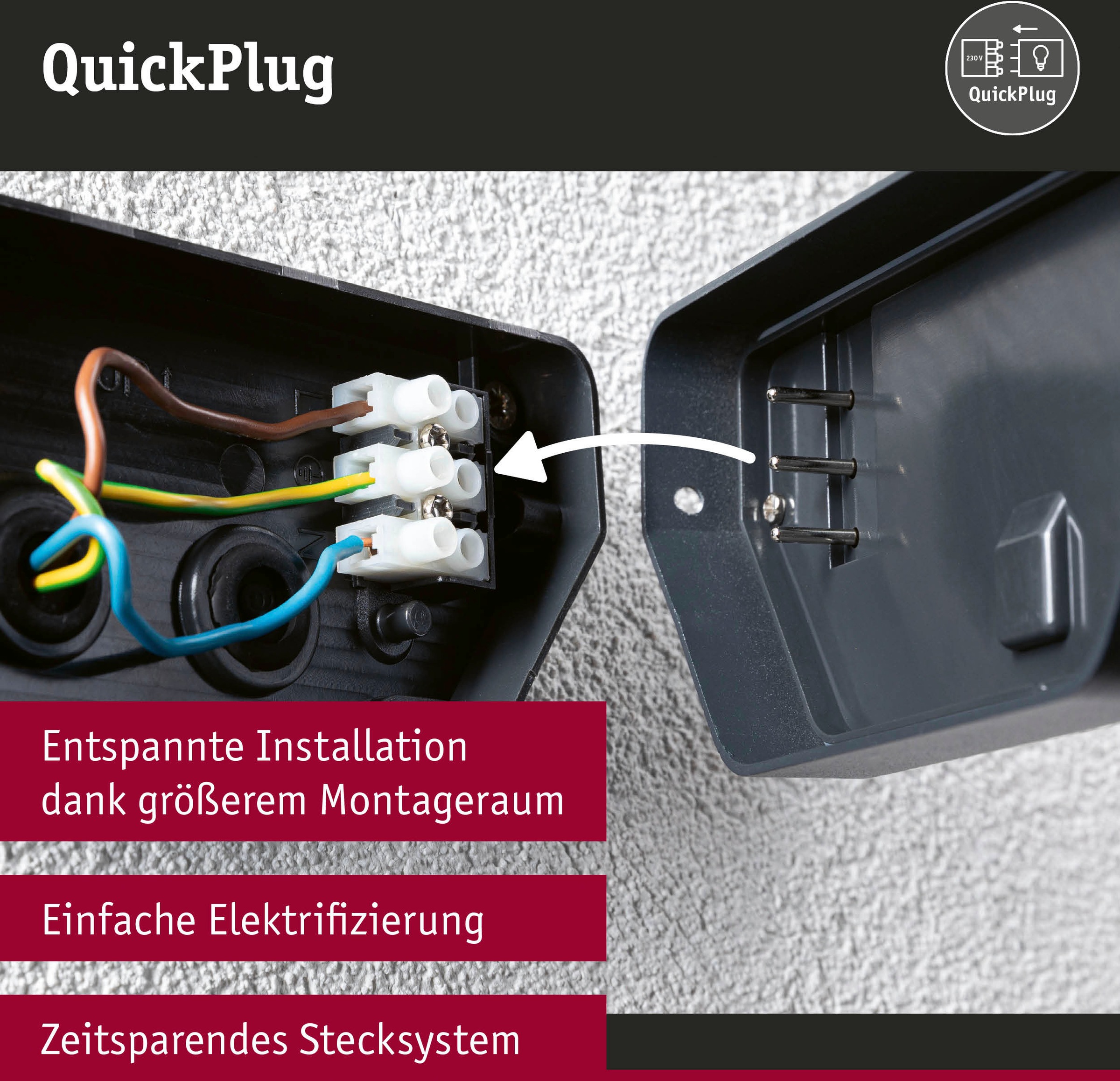 Paulmann LED Außen-Wandleuchte »Anela 230V«, 1 flammig, insektenfreundlich