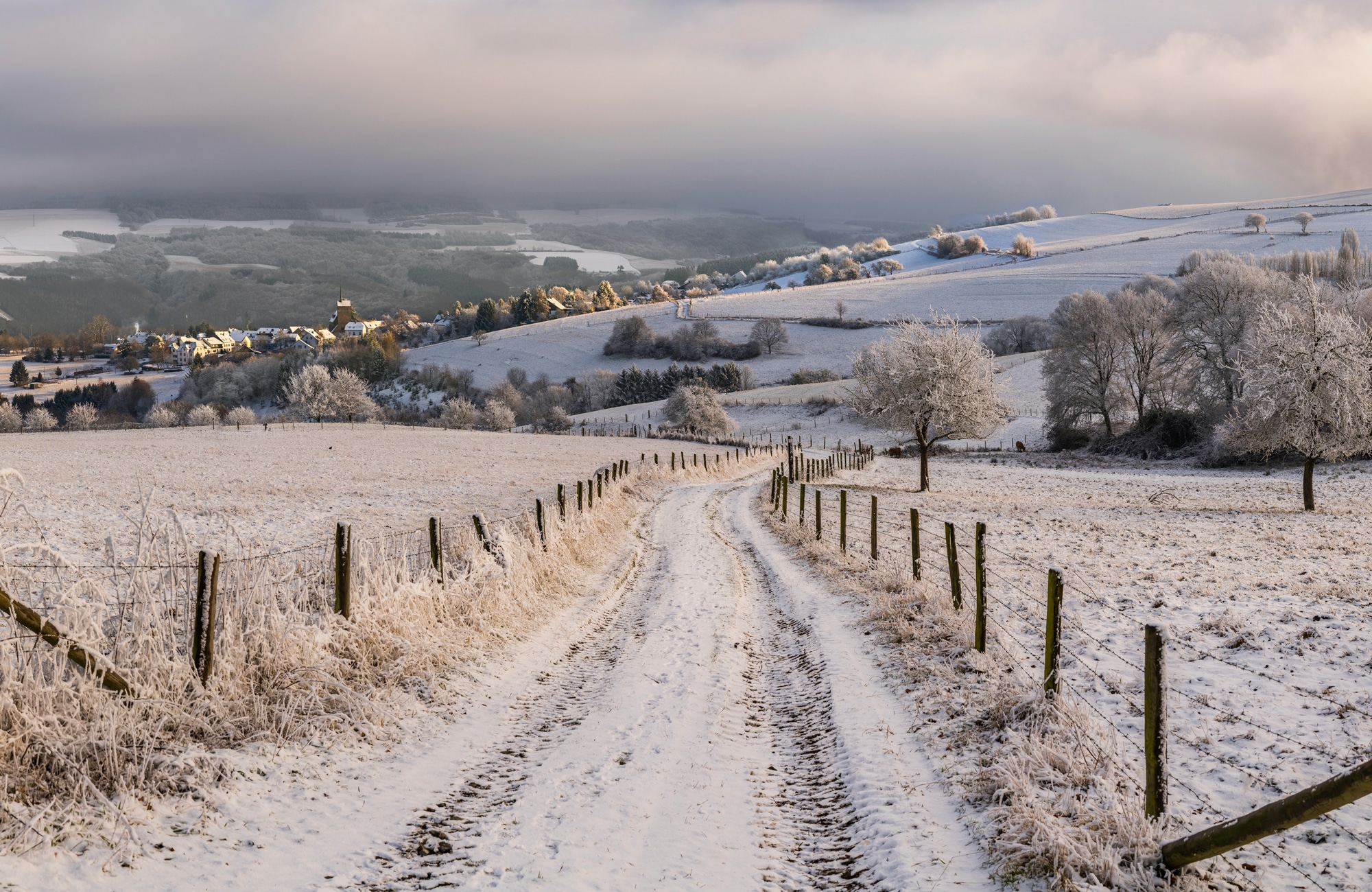 Papermoon Fototapete »Photo-Art ERIK PROPER, REPOST 009 - WINTER WONDERLAND günstig online kaufen