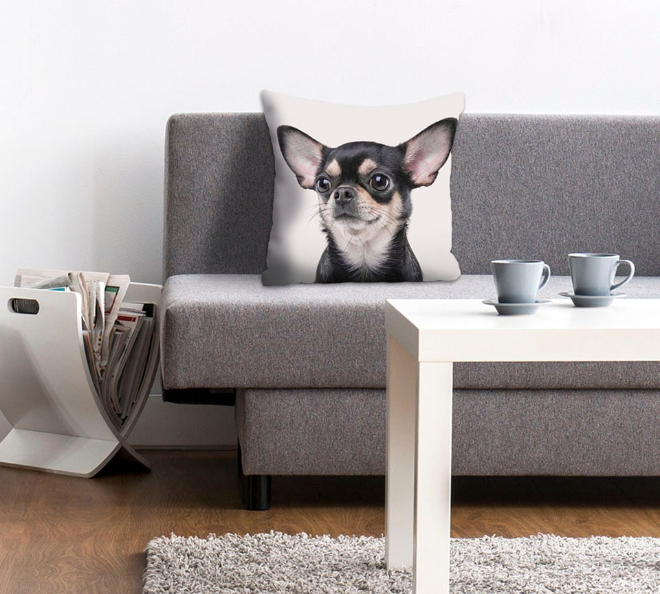 queence Dekokissen »Mailin«, Kissenhülle,Chihuahua,Hund,Tiermotiv,Niedlich, günstig online kaufen