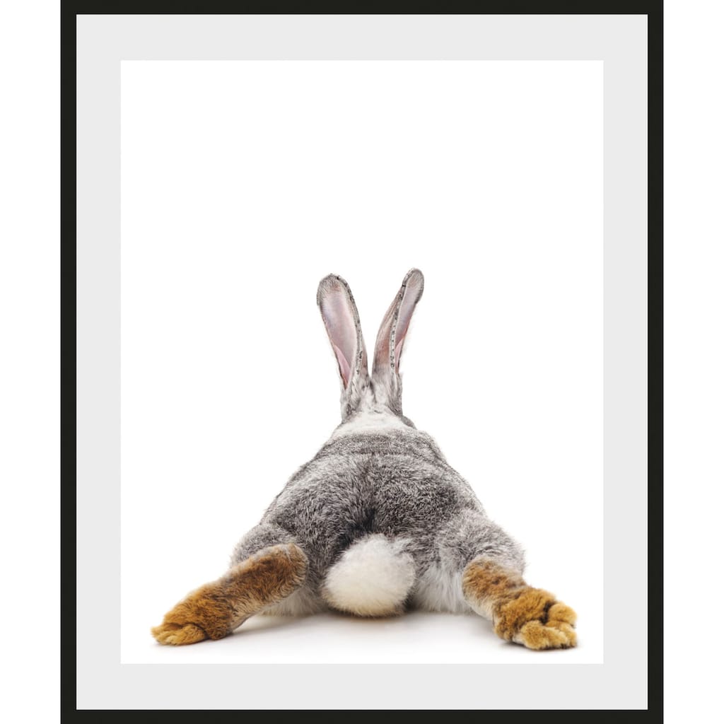 queence Bild »Bunny Tail«, Hase, (1 St.)