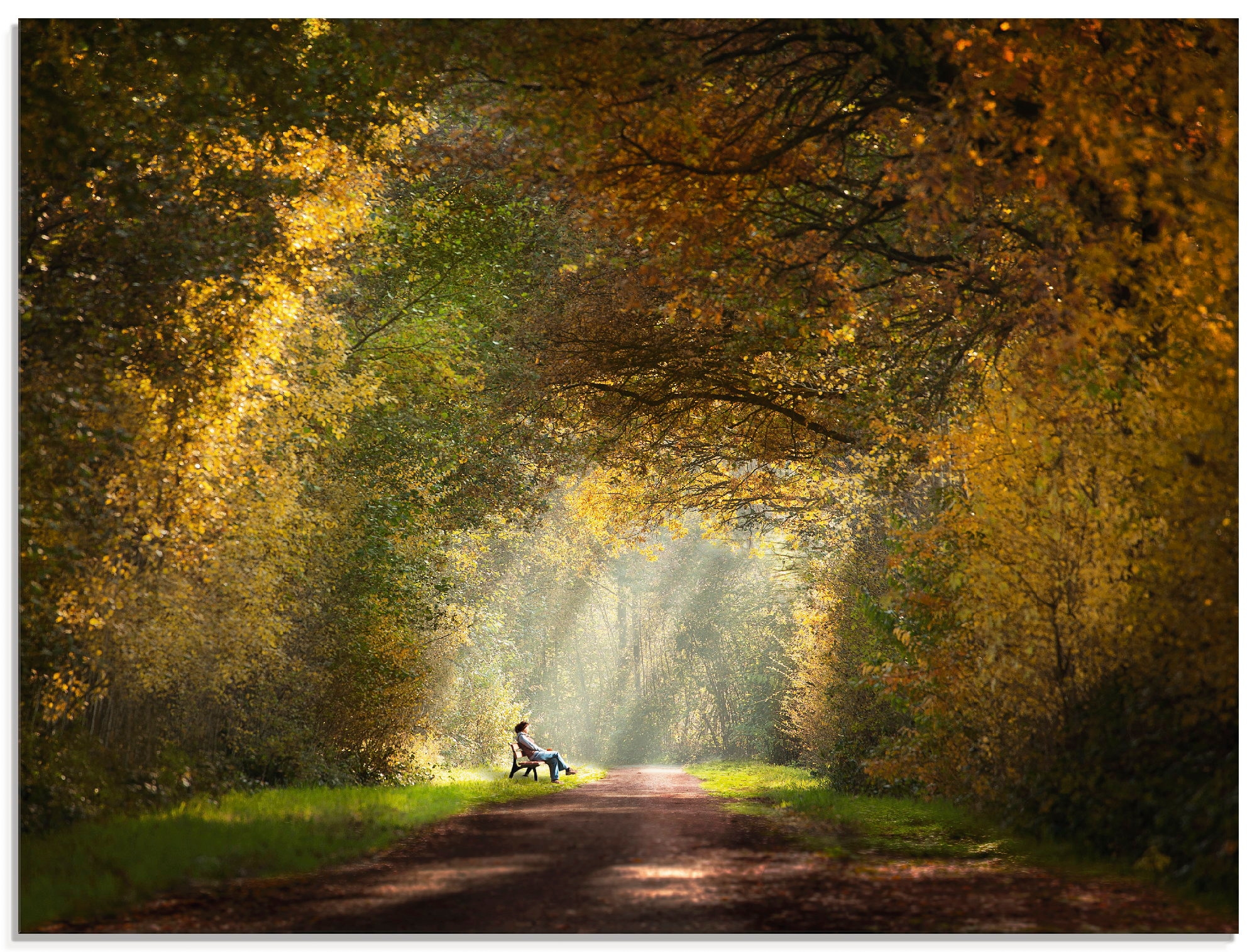 Artland Glasbild »Licht am Ende des Tunnels...«, Wald, (1 St.), in verschie günstig online kaufen