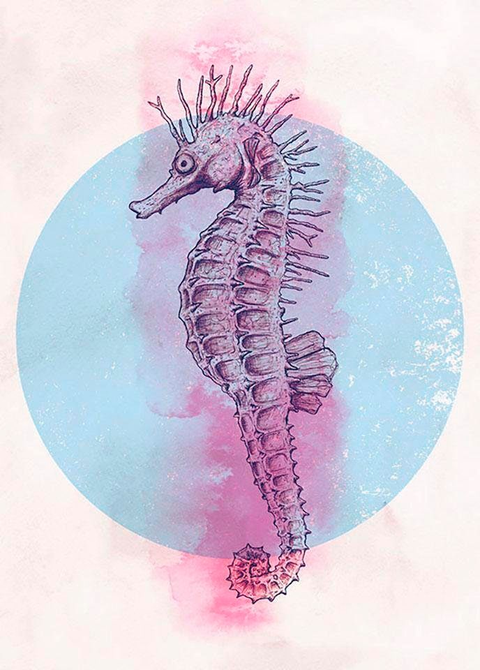 Komar Bild »Sea Horse Circle«, Tiere, (1 St.), Wandbild zur Dekoration - ohne Rahmen