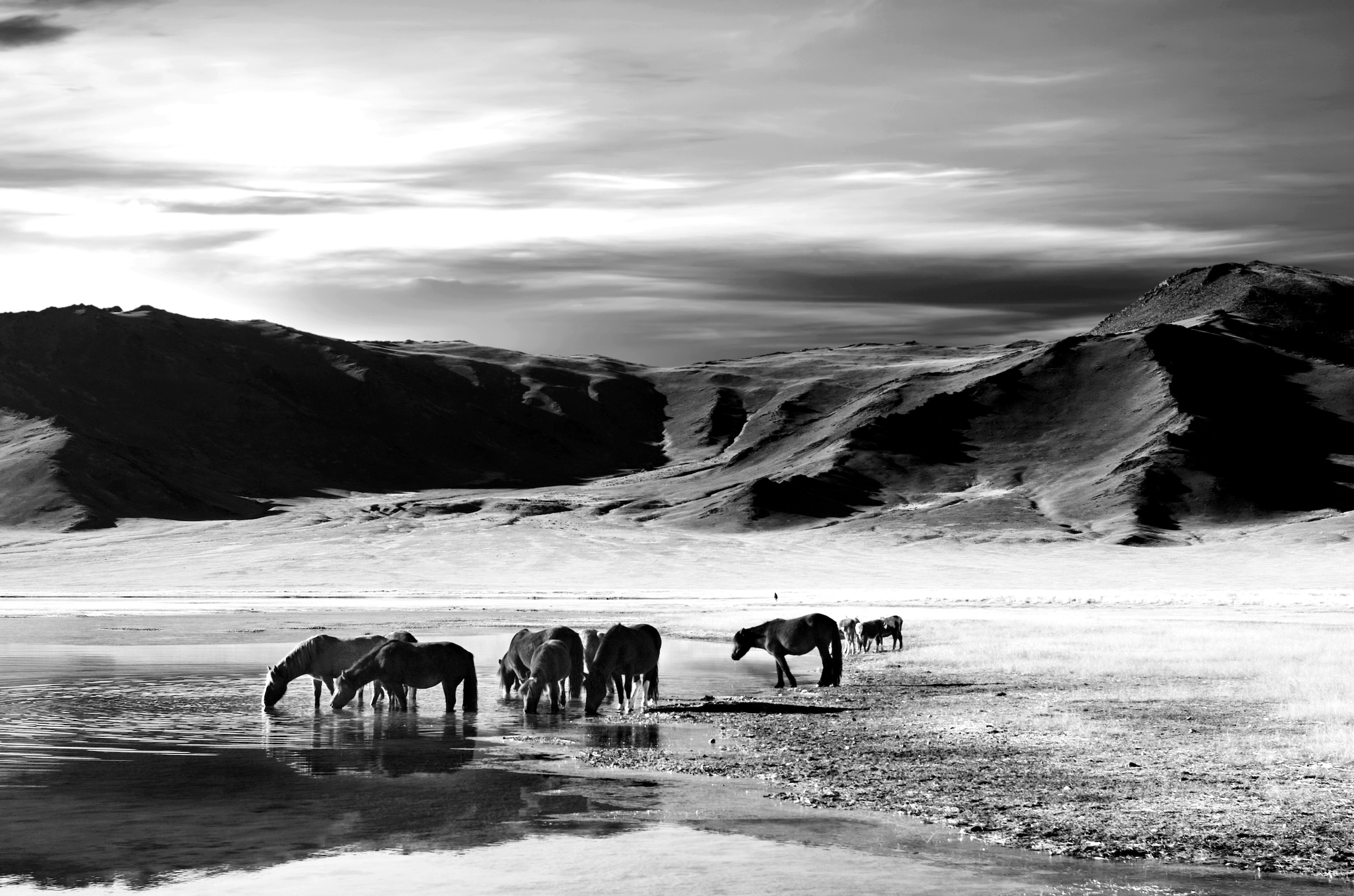 Papermoon Fototapete »Landschaft schwarz & weiß« günstig online kaufen