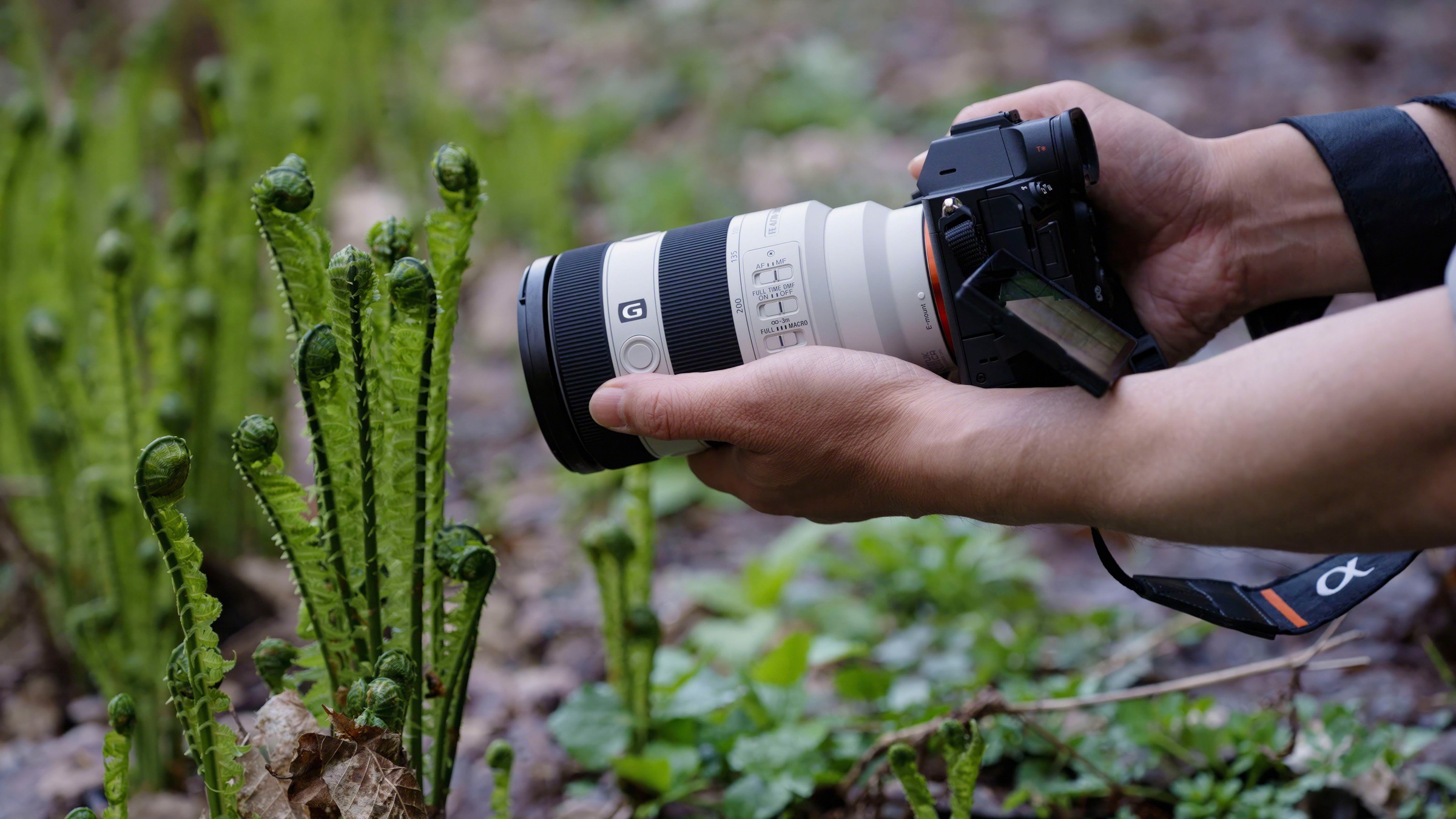 39. Bild von Sony Objektiv »FE 70–200 mm F4 Makro G OSS Ⅱ«