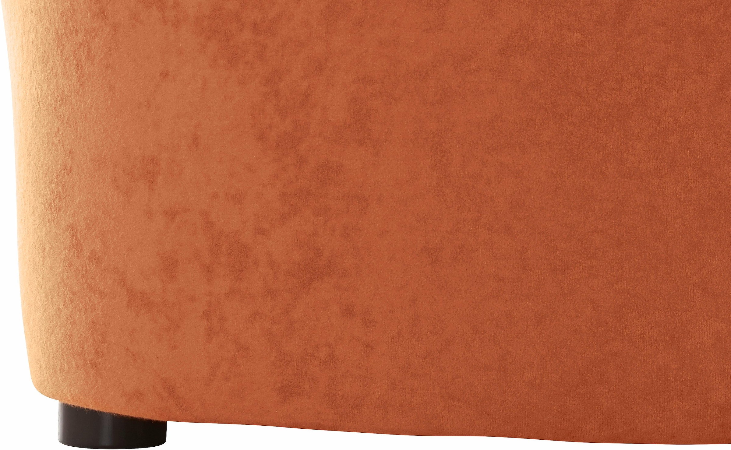 DOMO collection Ecksofa »Sarafina zeitlos und komfortabel, optional mit Federkern, L-Form«, wahlweise mit Bettfunktion