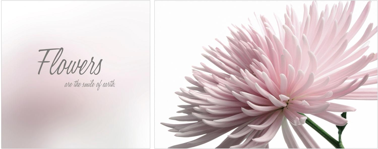 queence Leinwandbild »Flowers«, Blumen-Blumenbilder-Kunst-Modern-Spa-Spa Bi günstig online kaufen