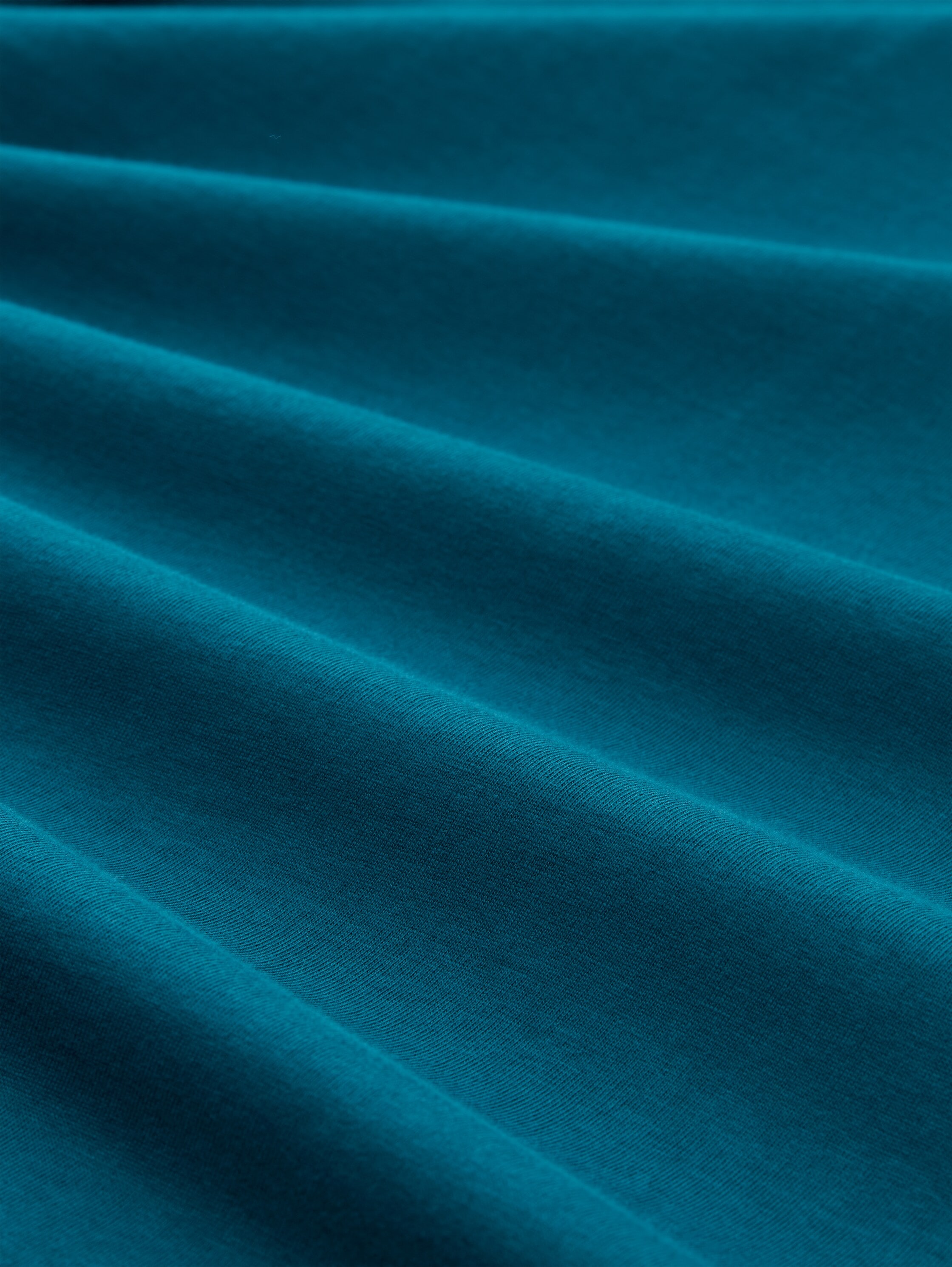 TOM TAILOR Langarmshirt mit Logo Print