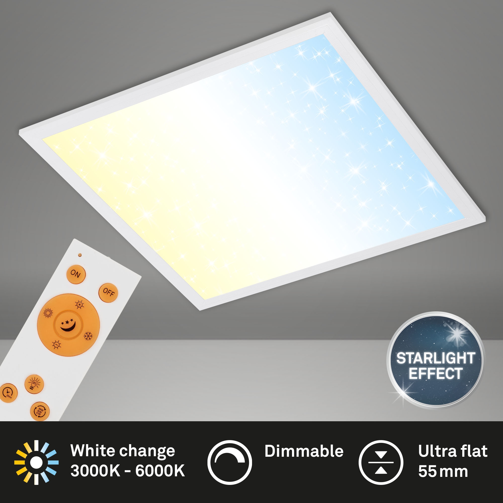 Briloner Leuchten LED Panel »PALLAS« mit Fernbedienung