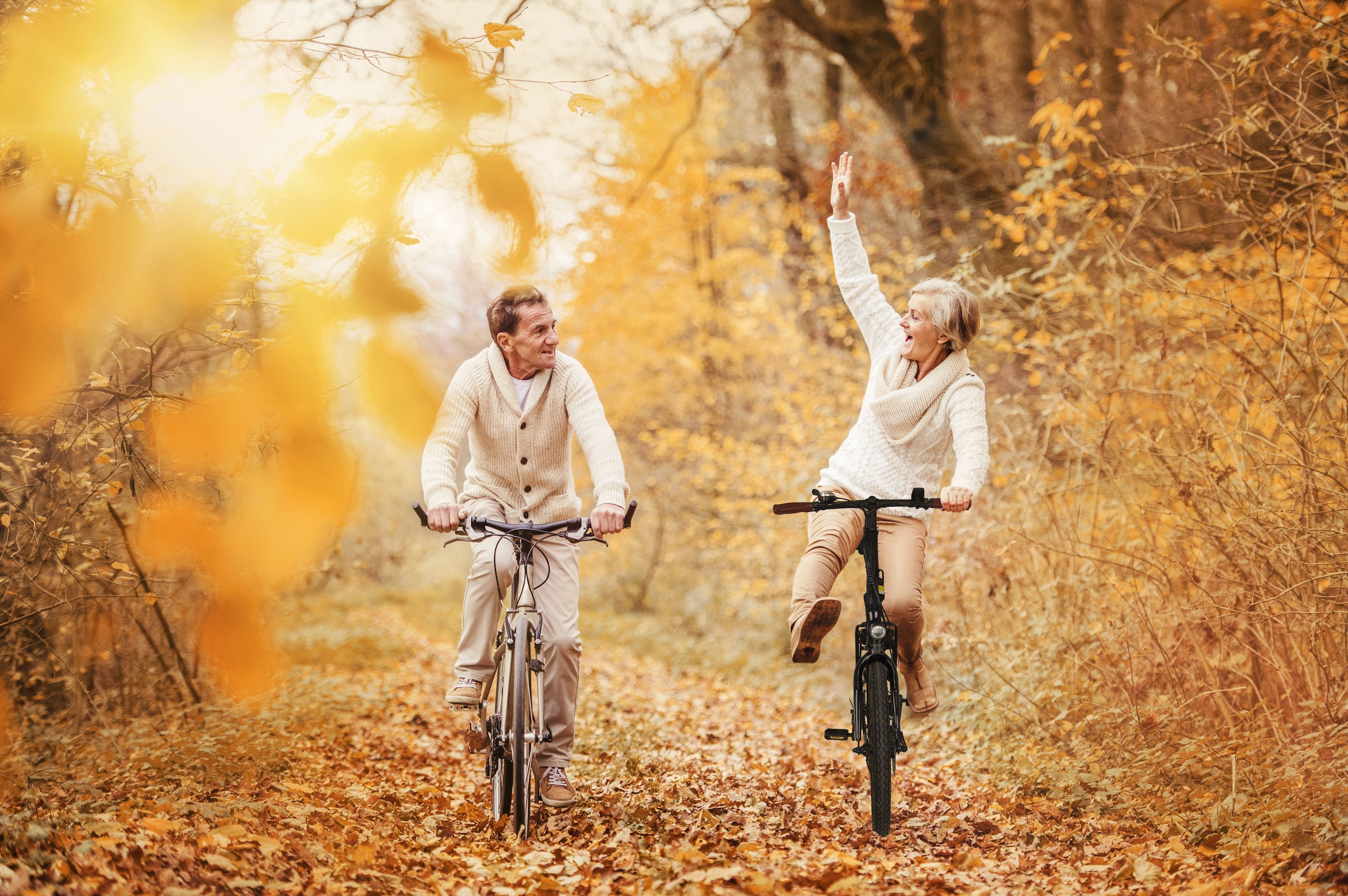 SachsenRad E-Bike »F2«, 7 Gang, Shimano, Shimano SIS 7-Gang-Schaltung, LCD-Steuerdisplay, Fahrmodus Pedelec, 
LED-Frontlicht, LED-Rücklicht