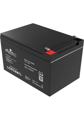 Akku »AGM-Batterie 12V/12Ah 20HR«, 12 V
