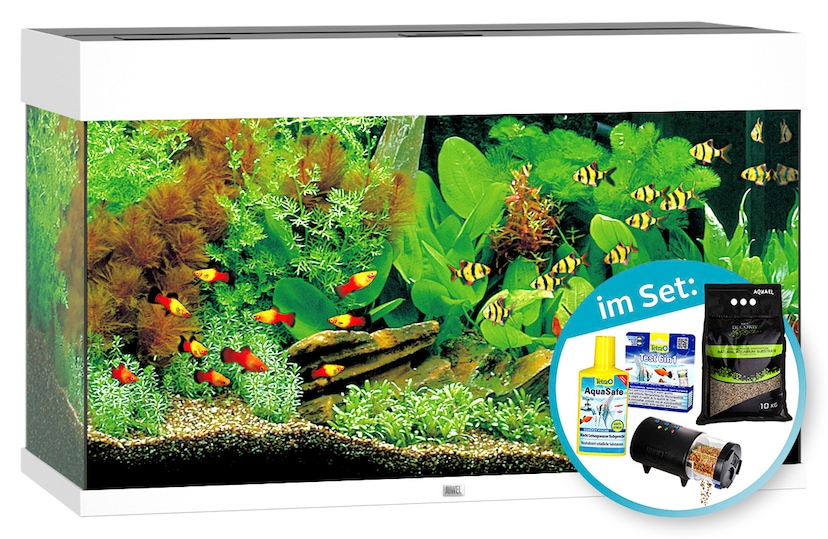 cm »AquaArt 75,5x38,4x12 LED«, Explorer BxTxH: Aquariumunterschrank online kaufen Tetra