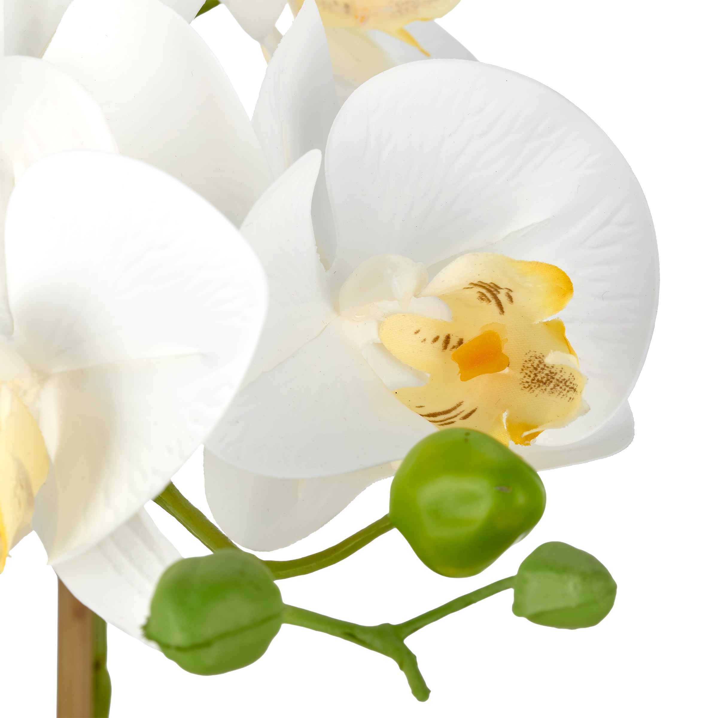 Creativ green Kunstorchidee »Phalaenopsis« mit Real-Touch-Blüten
