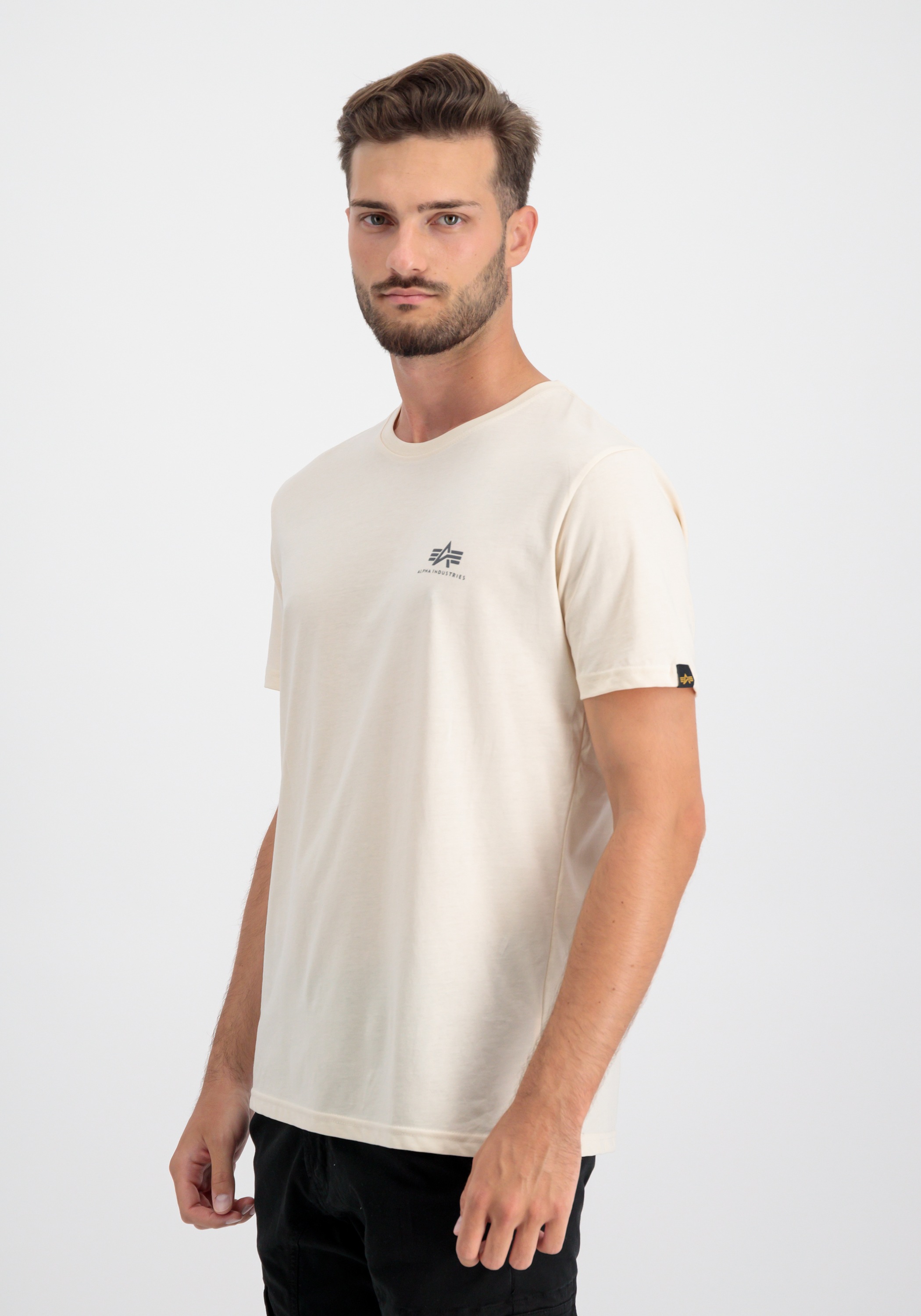 Alpha Industries T-Shirt »Alpha Industries Men - T-Shirts Backprint T«