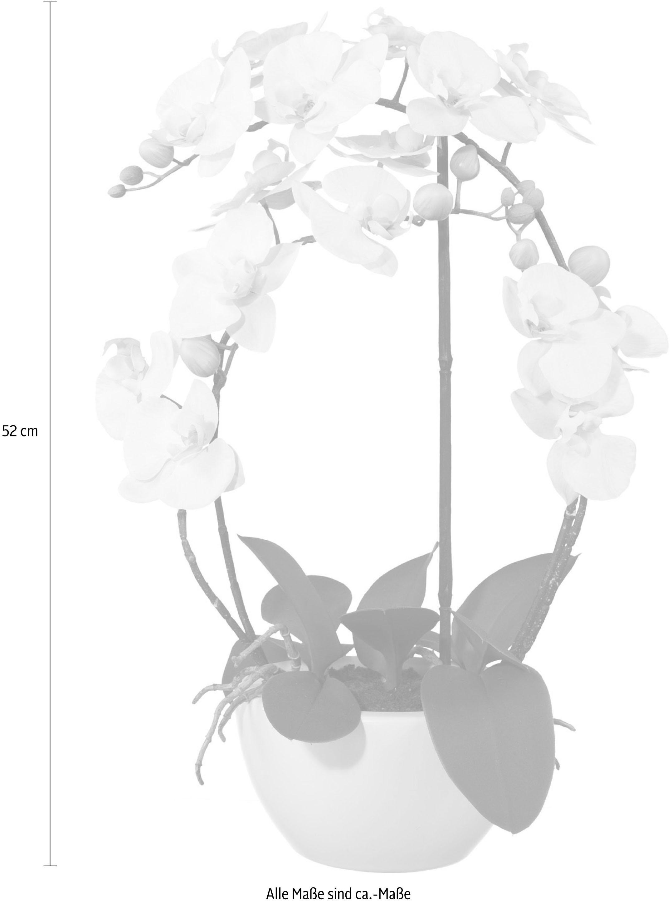 Creativ green Kunstpflanze »Phalaenopsis« günstig online kaufen