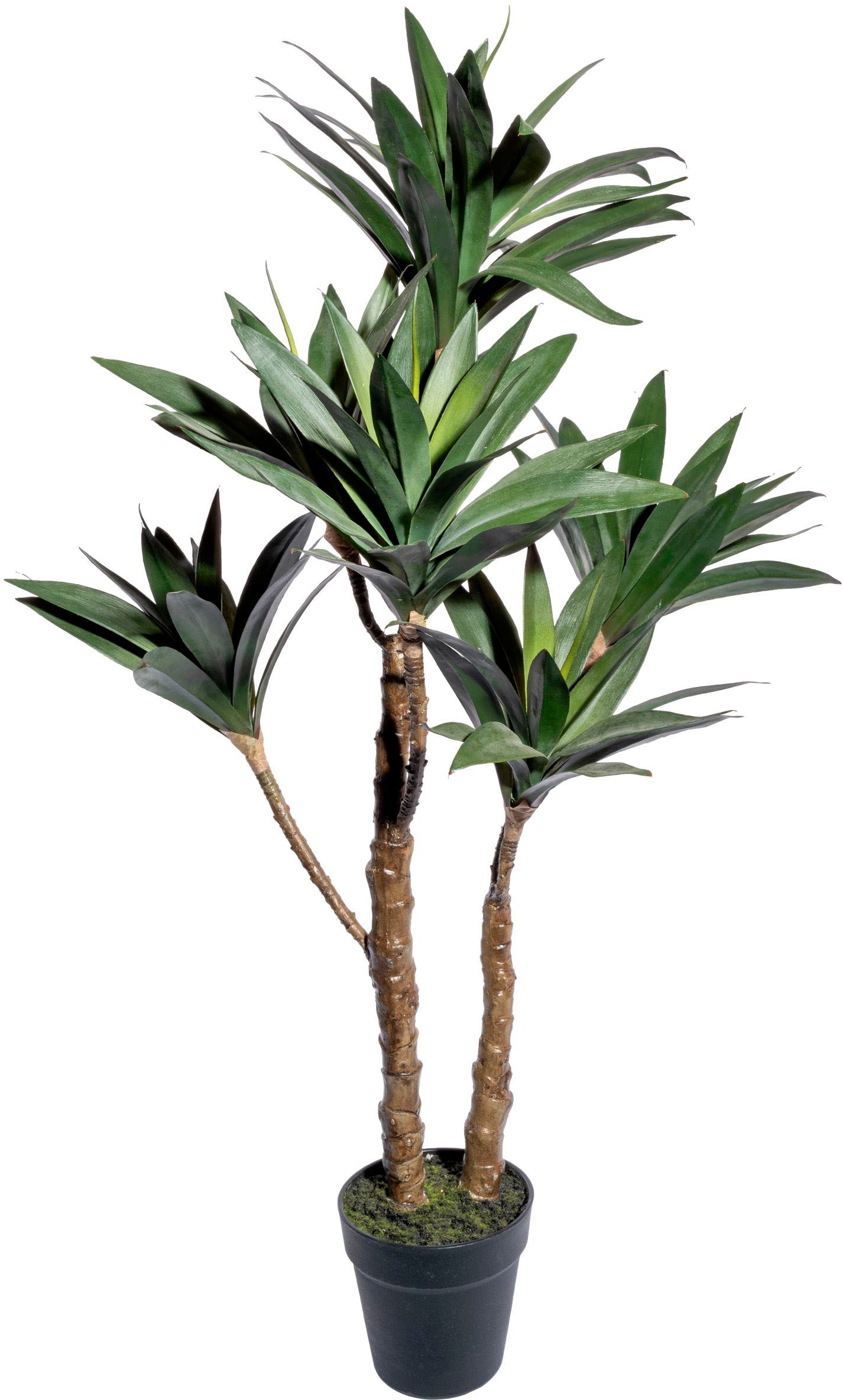 Künstliche Zimmerpflanze »Yuccapflanze im Topf«