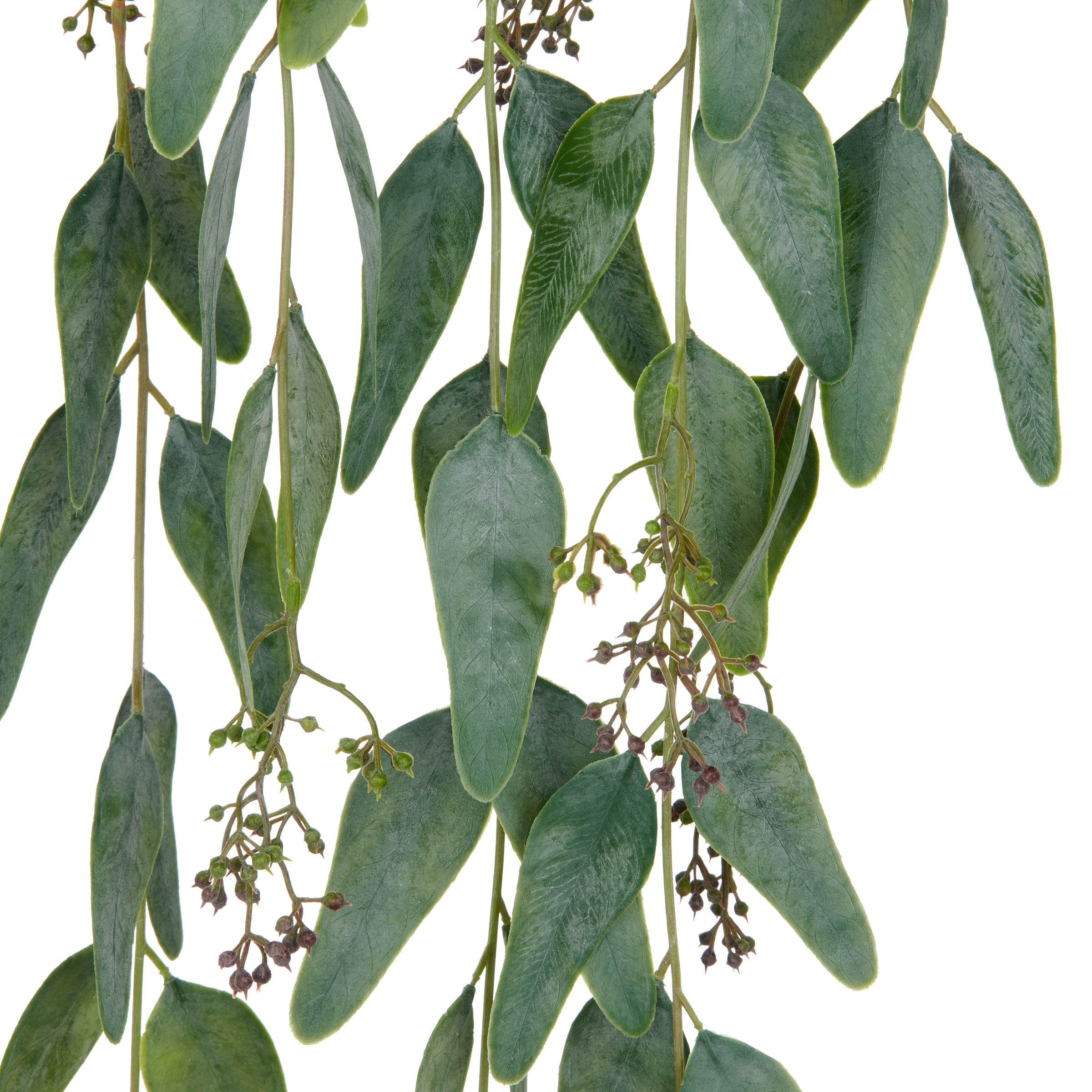 Creativ green Kunstranke »Eukalyptus«, mit Fruchtständen