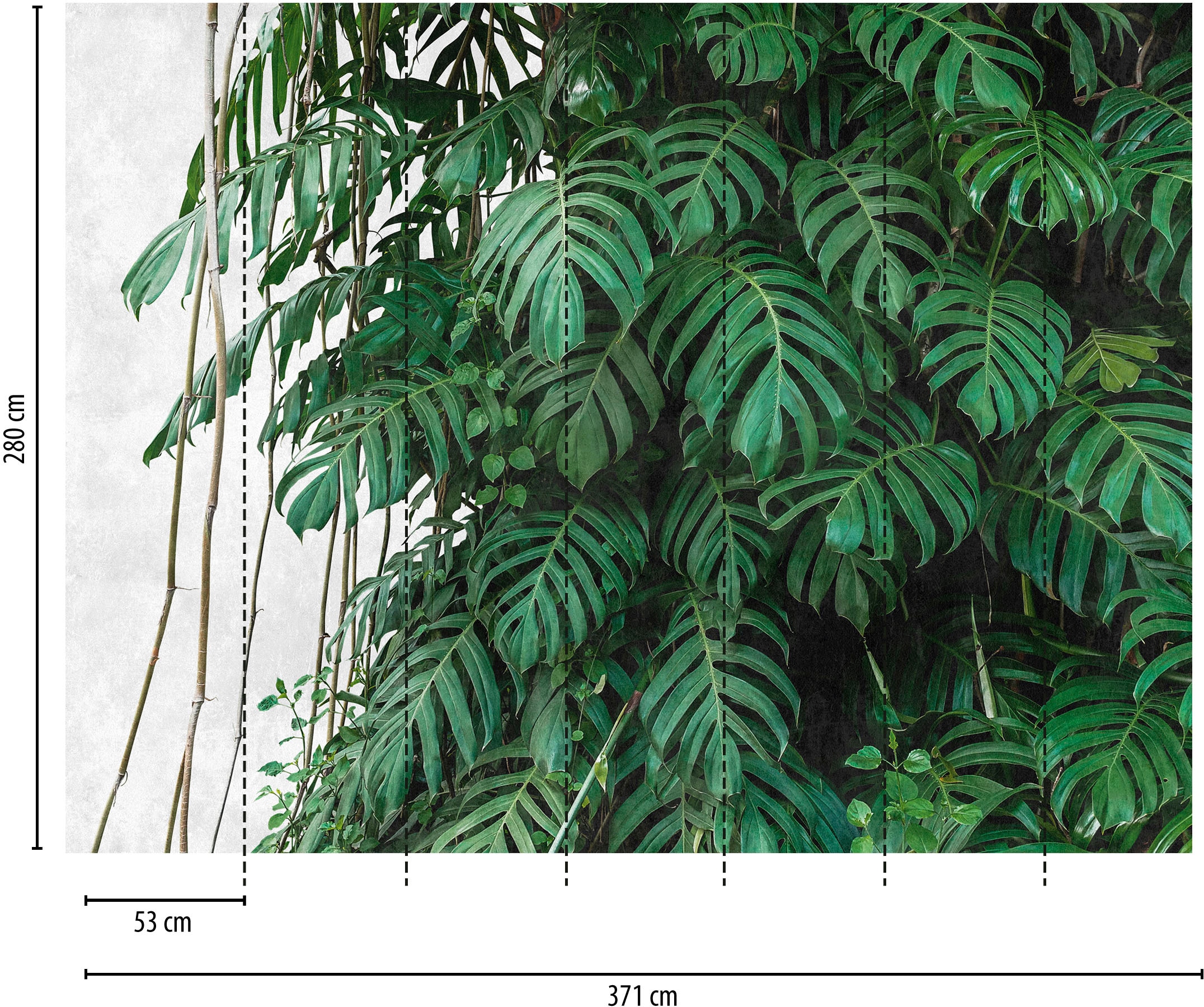 living walls Fototapete »The Wall«, botanisch-natürlich-naturalistisch, Fototapete Palmen Tapete Dschungel Tapeten Wohnzimmer Flur Design Büro