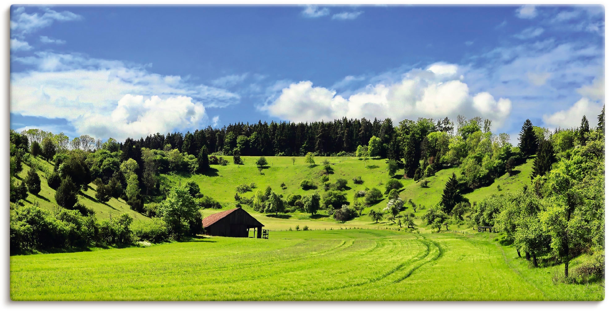 Artland Wandbild »Traumhafte Landschaft im Schwarzwald«, Wiesen & Baumbilder,  (1 St.), als Alubild, Leinwandbild, Wandaufkleber oder Poster in versch.  Größen online bestellen
