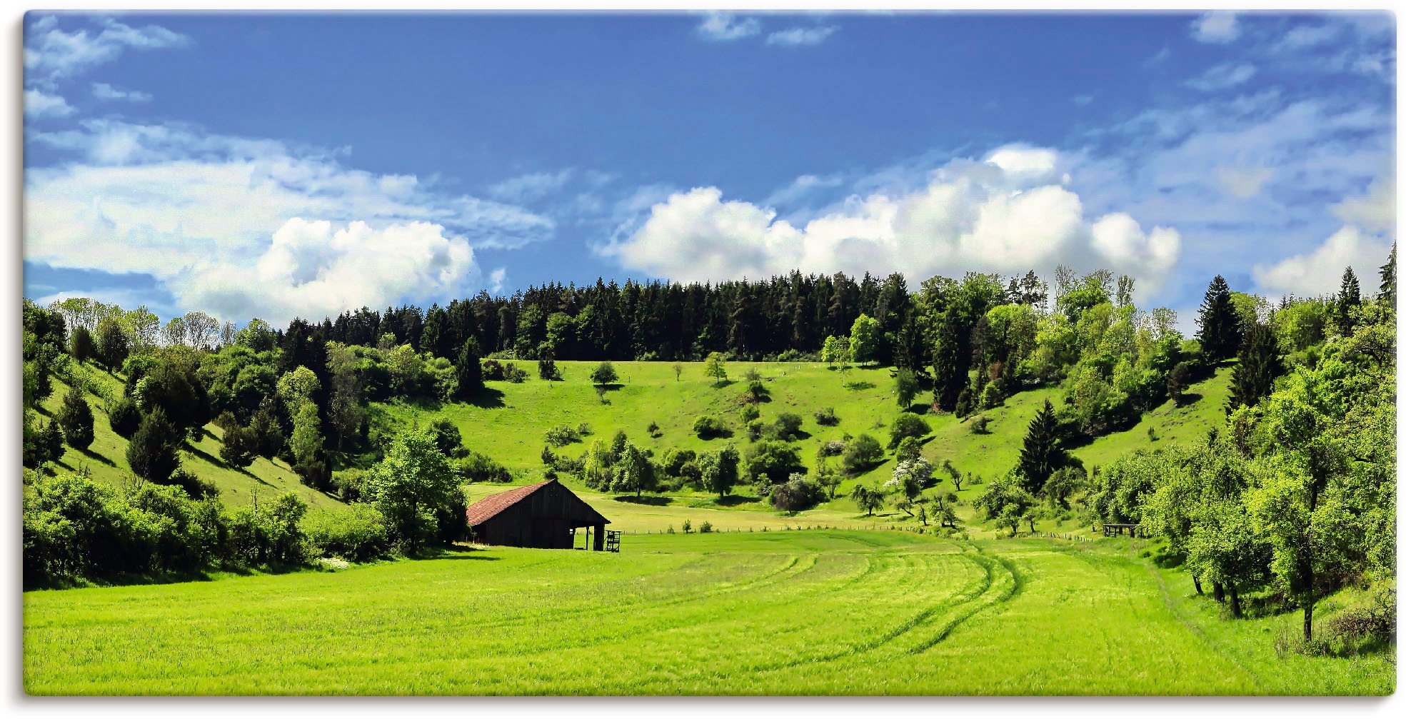 Artland Wandbild »Traumhafte Landschaft im Schwarzwald«, Wiesen & Baumbilde günstig online kaufen