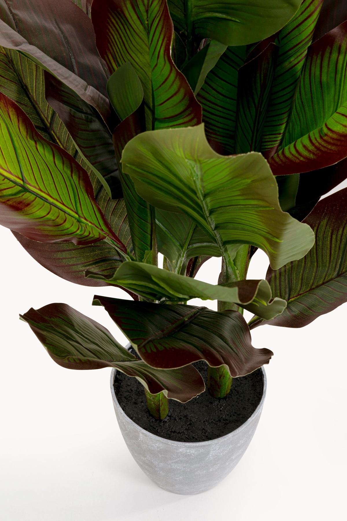 Kare Design Künstliche Zimmerpflanze »Deko-Pflanze Canna Lily« 115 oder 165 cm Höhe