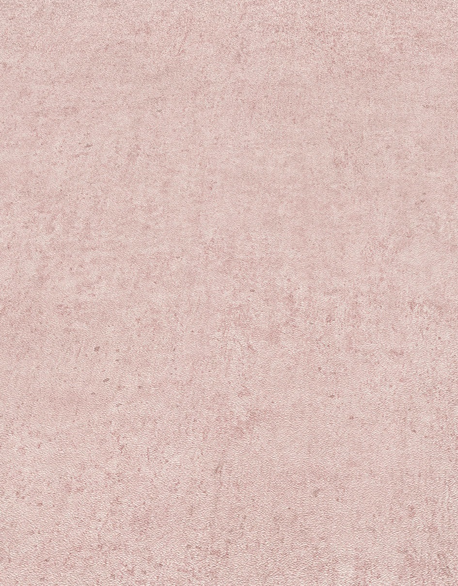 Erismann Vliestapete »Vliestapete SAVANNA« geprägt Phthalate frei