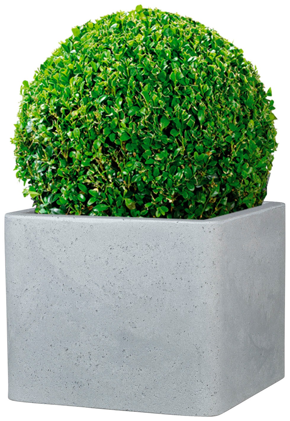 Scheurich Blumentopf »40/140 ALEA UET«