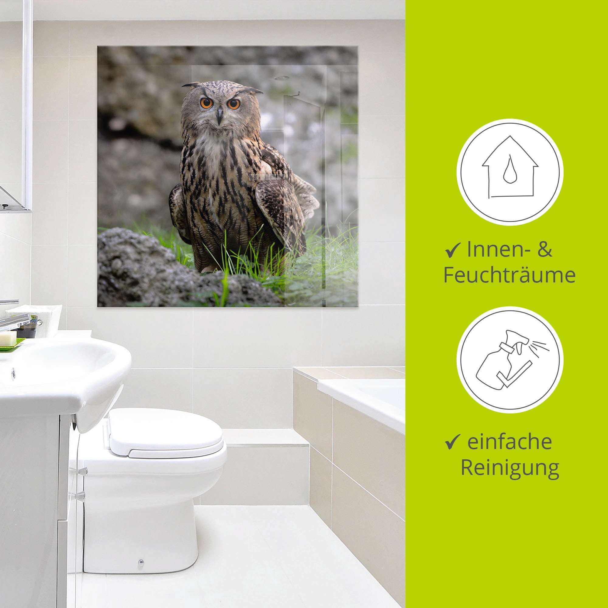 Artland Glasbild »Uhu« Vögel 1 Stk. tlg. in verschiedenen Größen