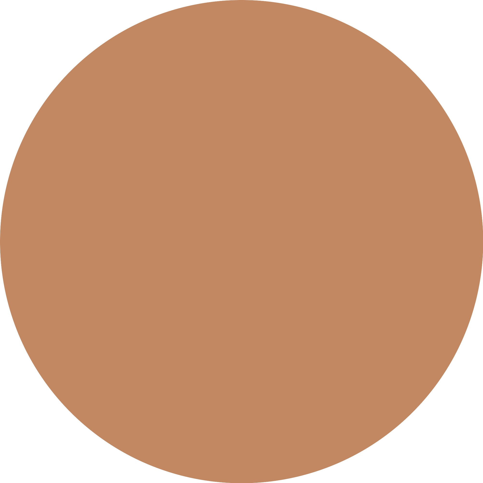 Catrice Foundation »Skin Like Luminous Foundation«