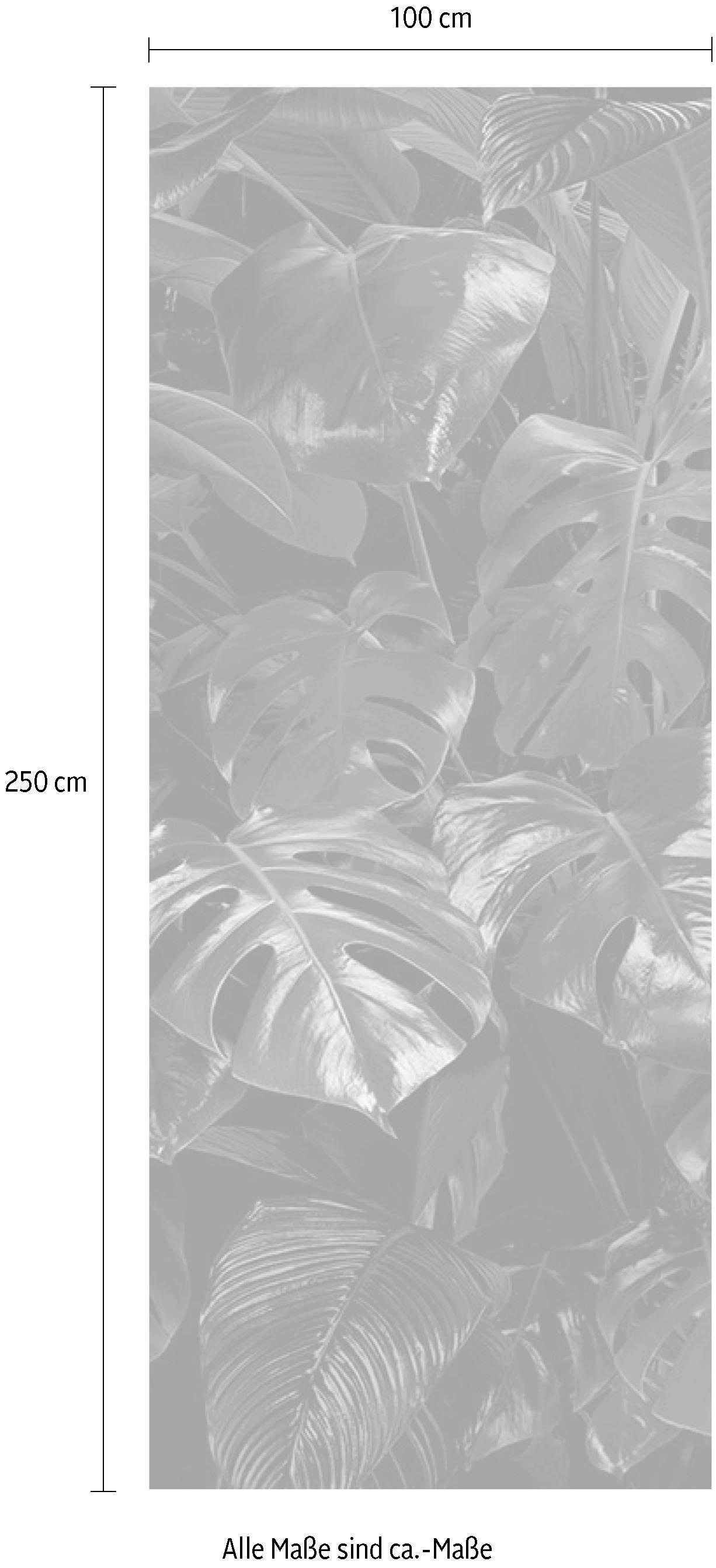 Komar Vliestapete »Tropical Wall Panel«, 100x250 cm (Breite x Höhe), Vliestapete, 100 cm Bahnbreite