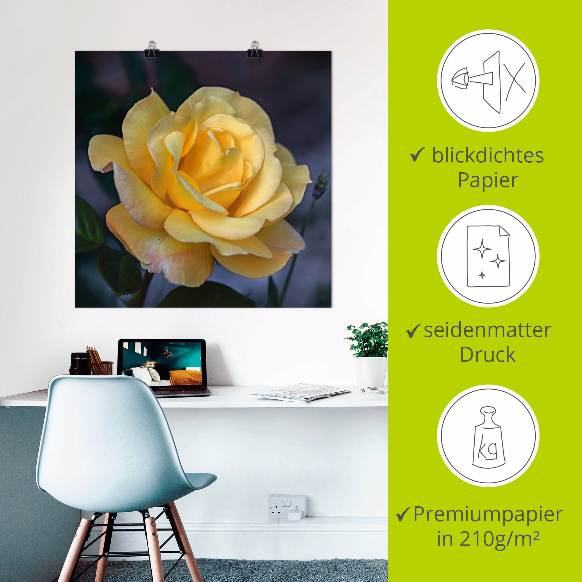 Artland Wandbild »Gelbe Rose«, Blumen, (1 St.), als Leinwandbild, Poster in verschied. Größen