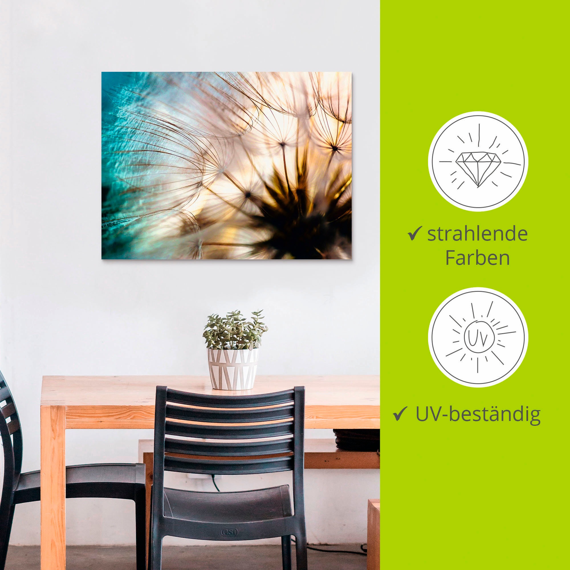 Artland Wandbild »Pusteblume Makro abstrakt«, Blumen, (1 St.), als Alubild, Outdoorbild, Leinwandbild, Poster, Wandaufkleber