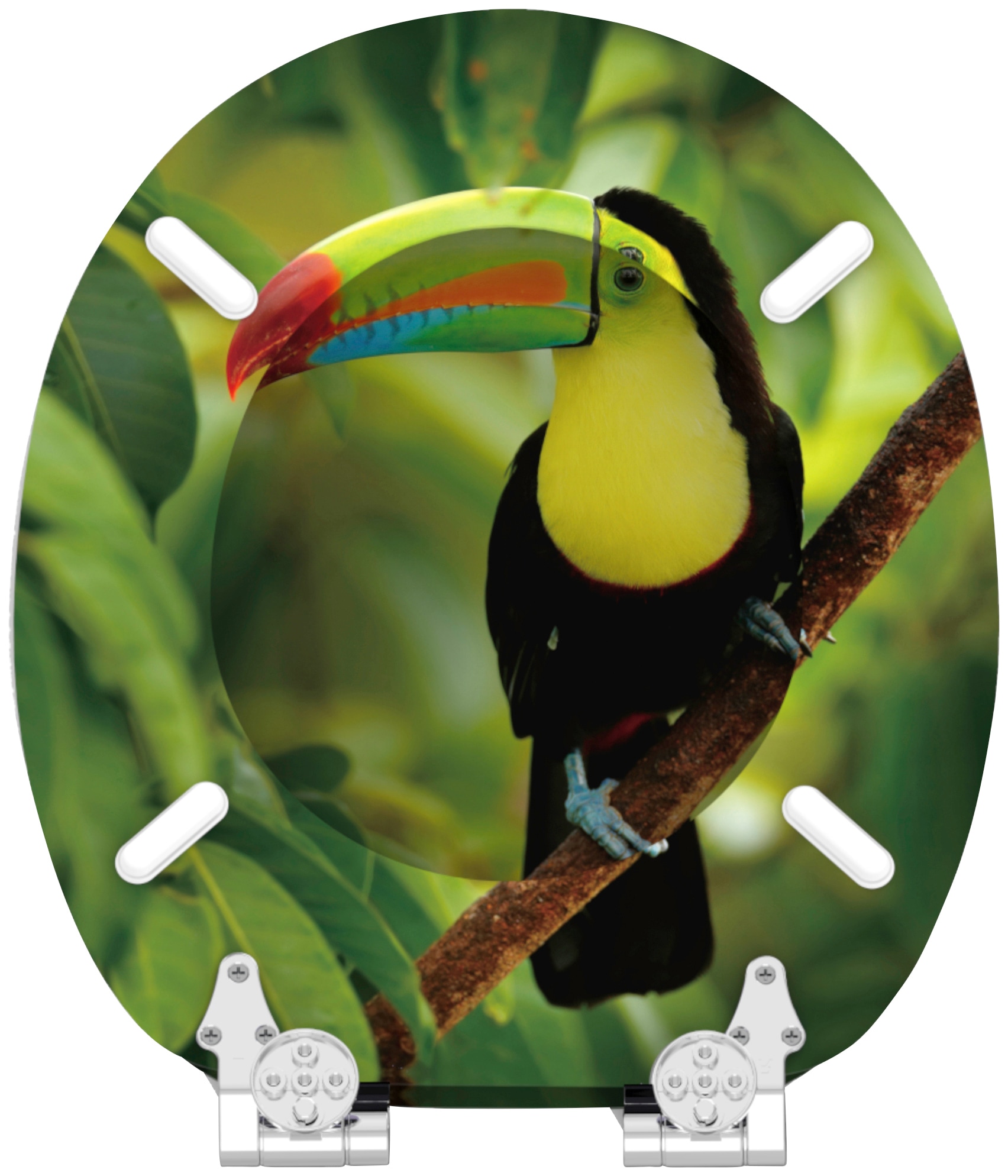 Sanilo WC-Sitz »Toucan« mit Absenkautomatik, BxL: 37,7 x 42,0 - 47,0 cm