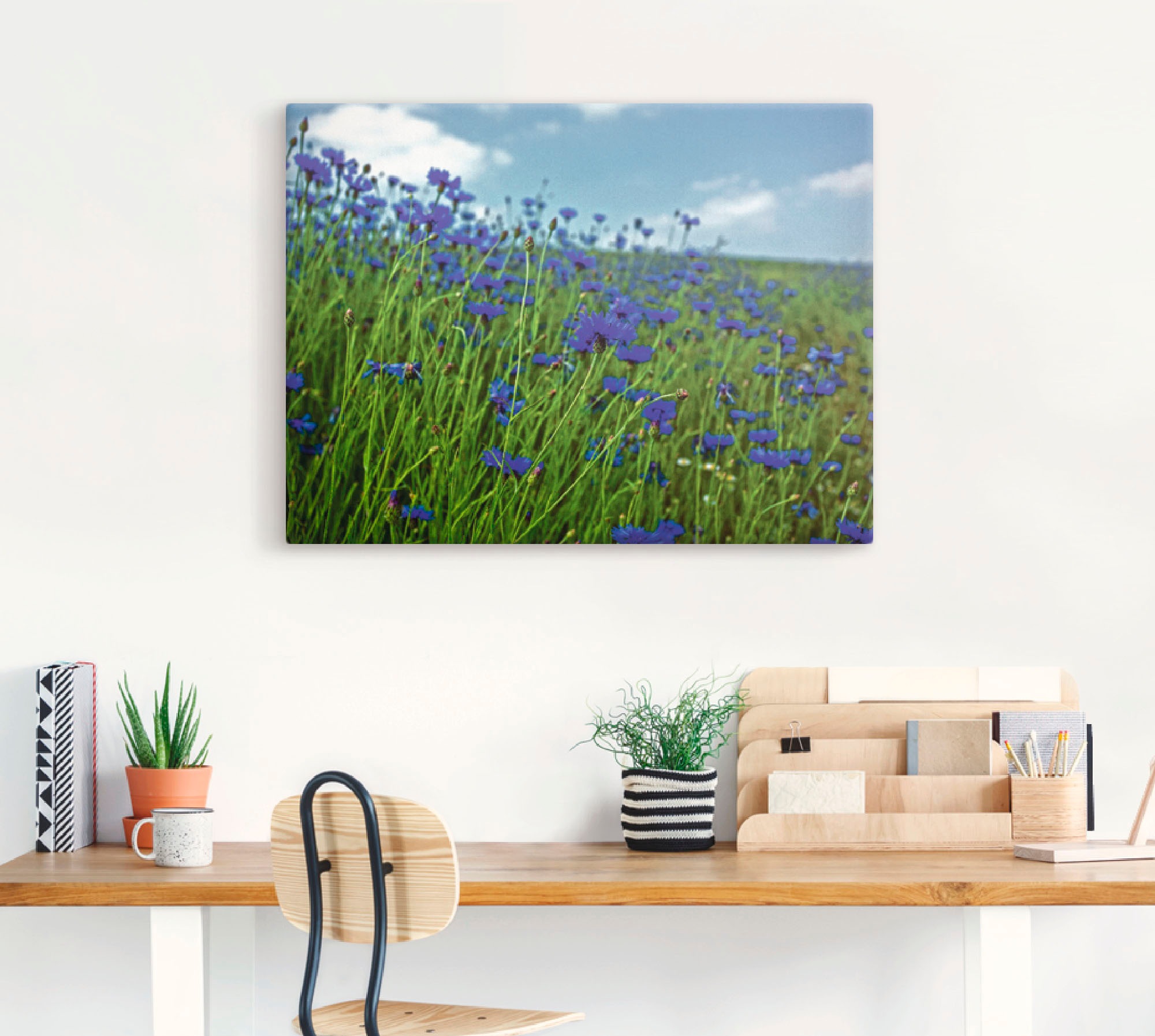 Artland Wandbild »Kornblumenwiese«, Blumenwiese, (1 St.), als Leinwandbild, Poster in verschied. Größen