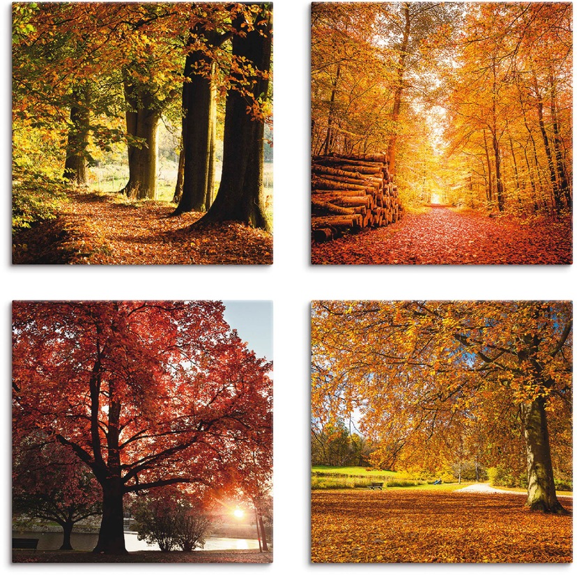 Artland Wandbild »Blick nach Oben im Wald, grüne Bäume«, Blätterbilder, (1  St.), als Alubild, Leinwandbild, Wandaufkleber oder Poster in versch. Größen  online kaufen