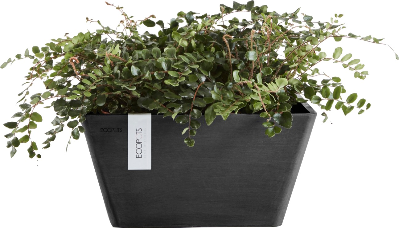 ECOPOTS Blumentopf »BERLIN Dark Grey« BxTxH: 31x31x15,5 cm