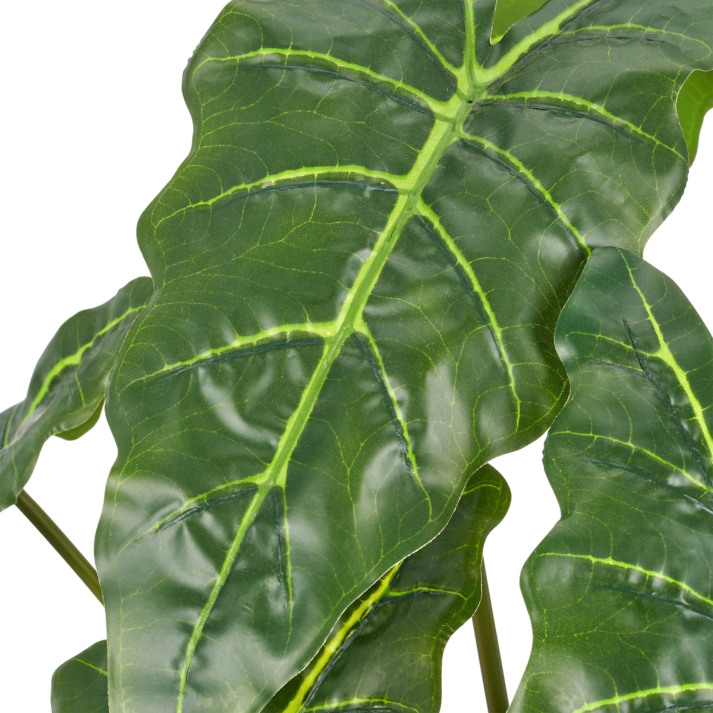Creativ green Kunstpflanze »Alocasia wentii« mit wunderschöner Blattgestaltung